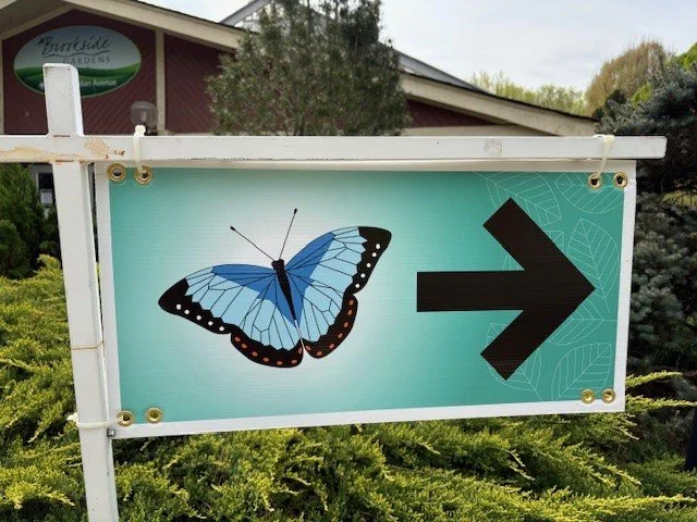 Women's Butterfly Experience at Brookside Gardens in Maryland