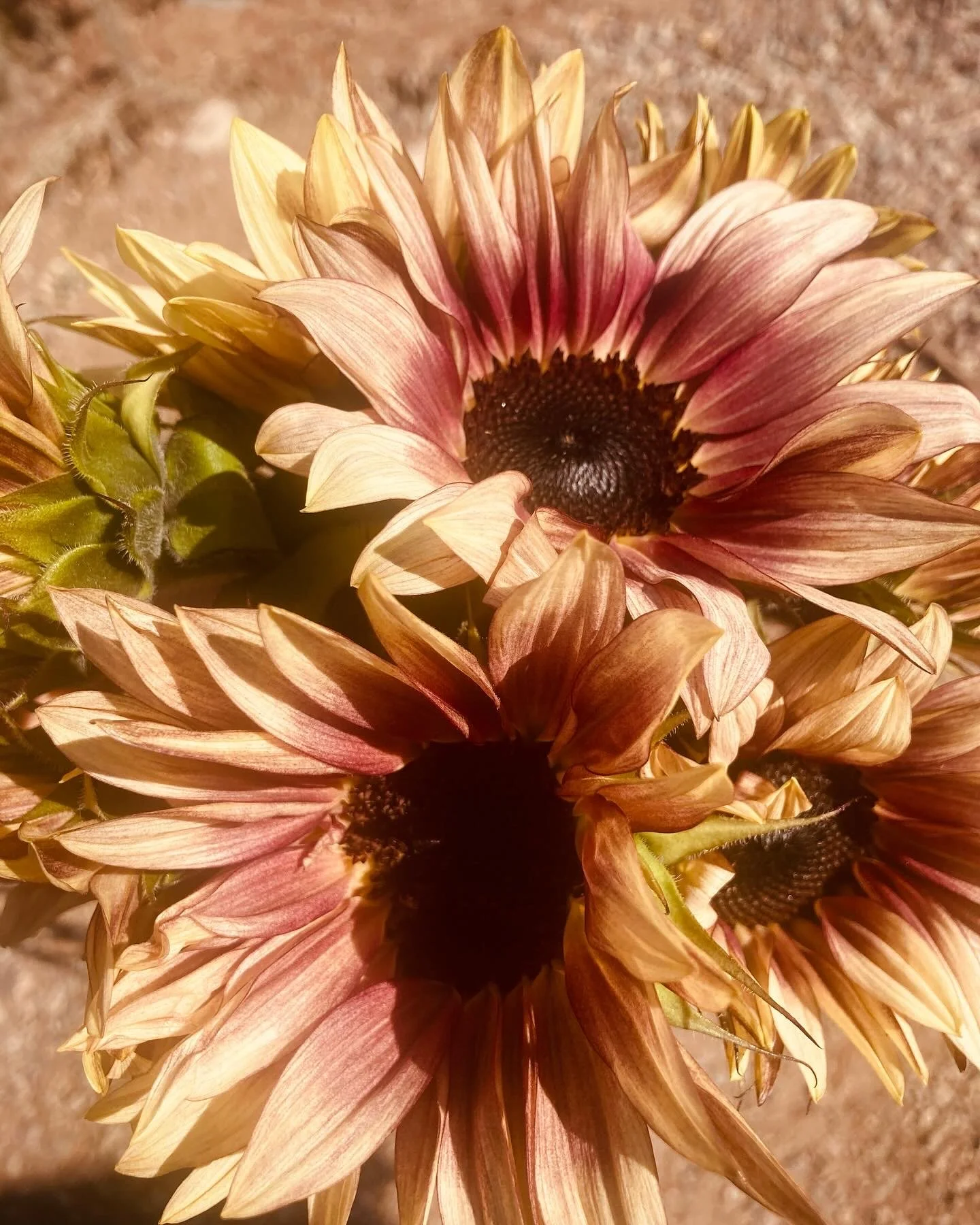 69C2759E-A322-407A-835B-66D547B11C36.jpg