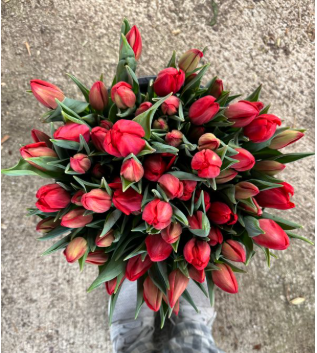 Charming Princess 2.PNG