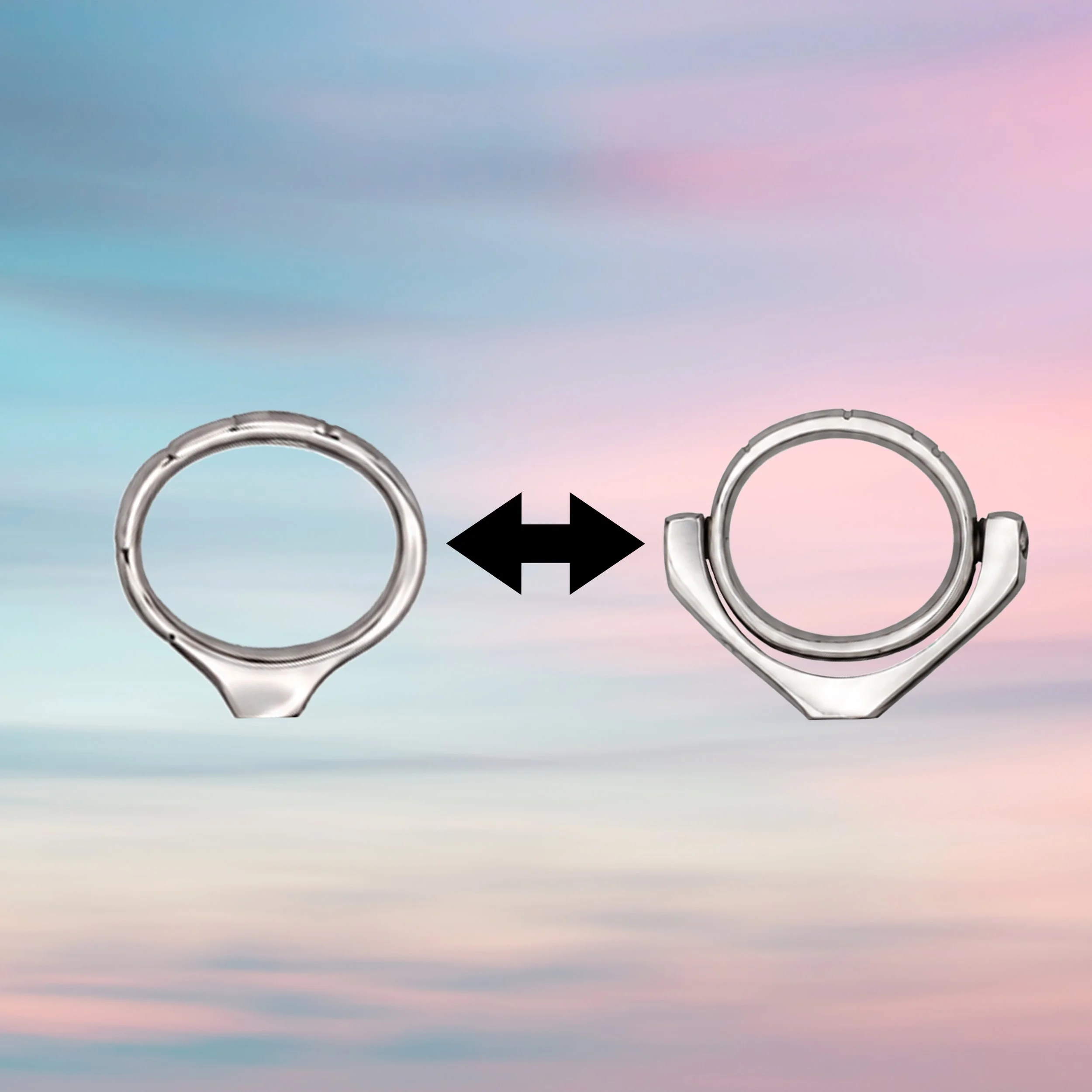 Swivel Conversion Program