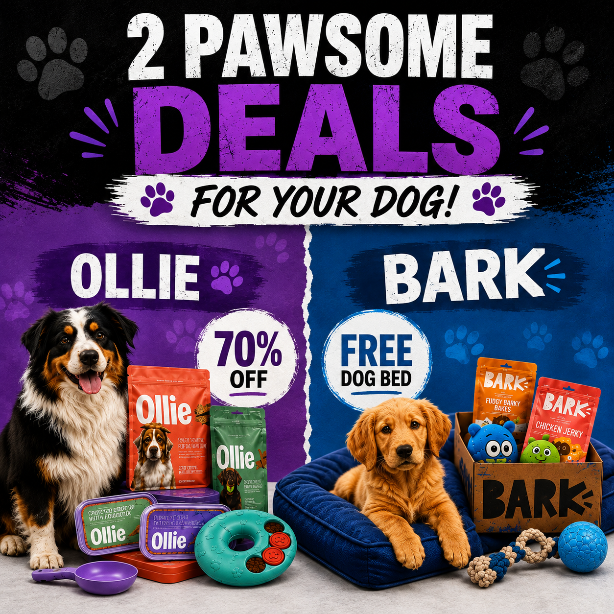 2 Pawsome Dog Deals