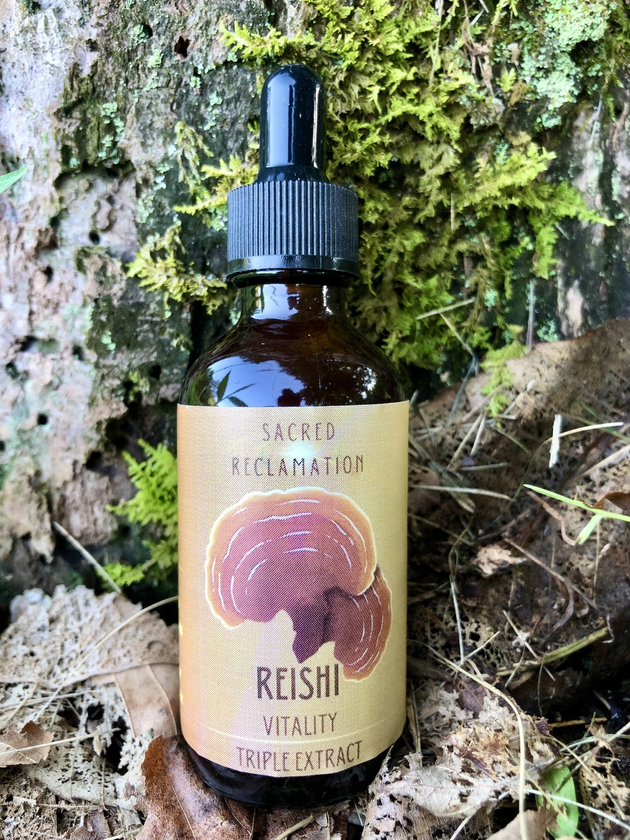 Reishi Triple Extract