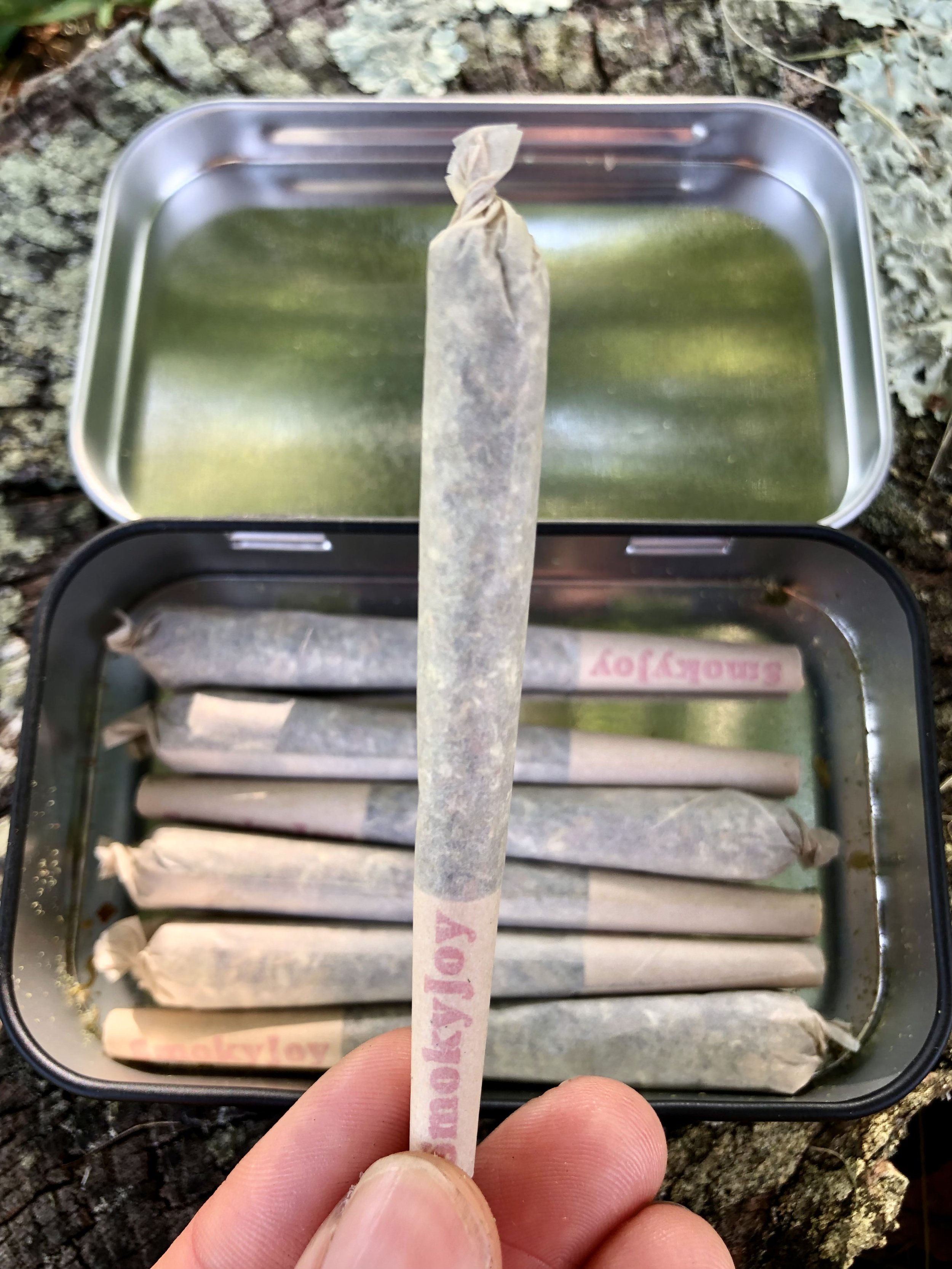 dayprerolls.jpg