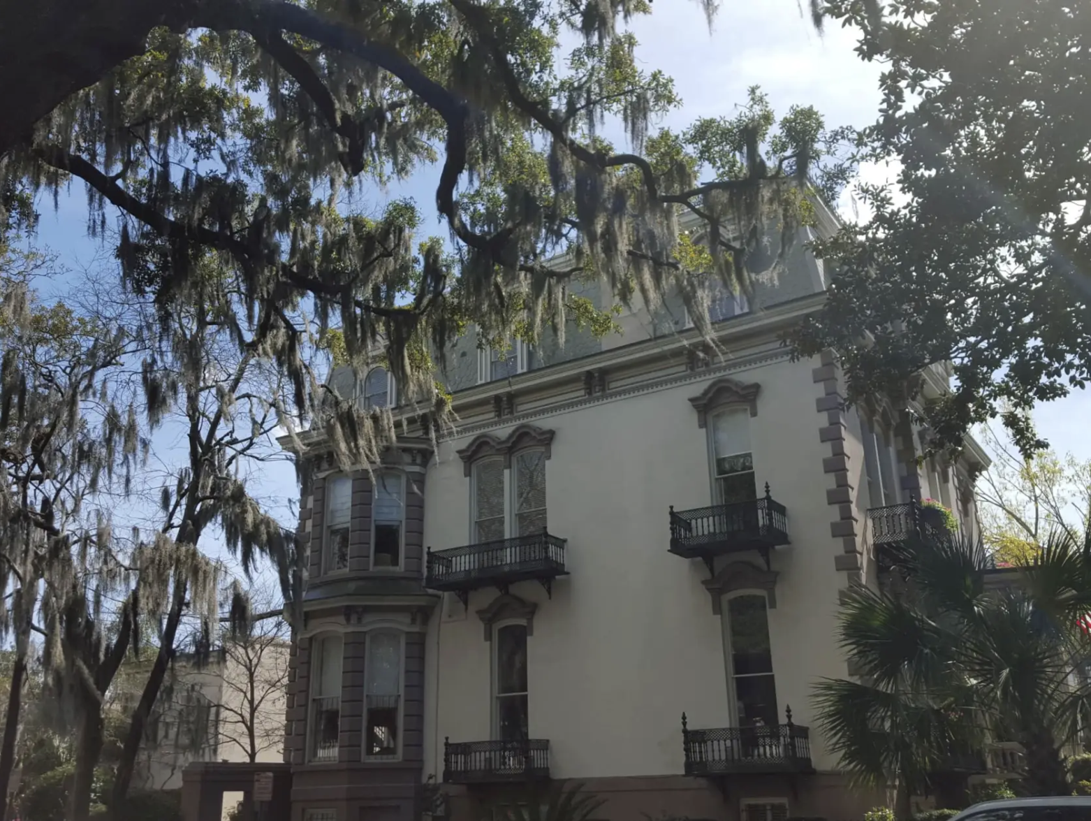 Savannah in 12 hours