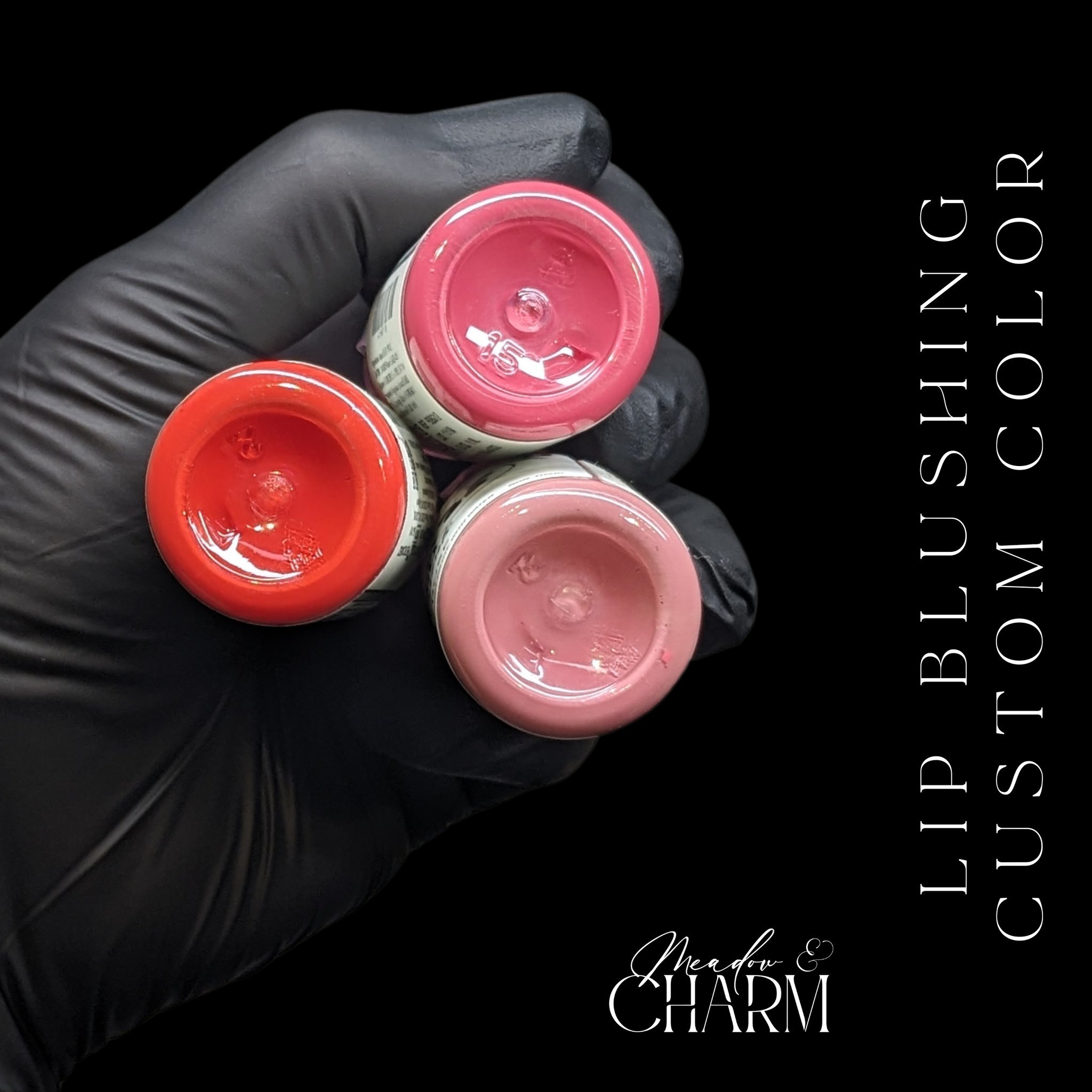 Are you considering lip blushing?! Colors are custom mixed to create your perfect match! 
Book your appointment now at www.meadowandcharm.com
.
.
.
.
.
Permanent makeup lip blushing artist in Council Bluffs and Avoca, IA.