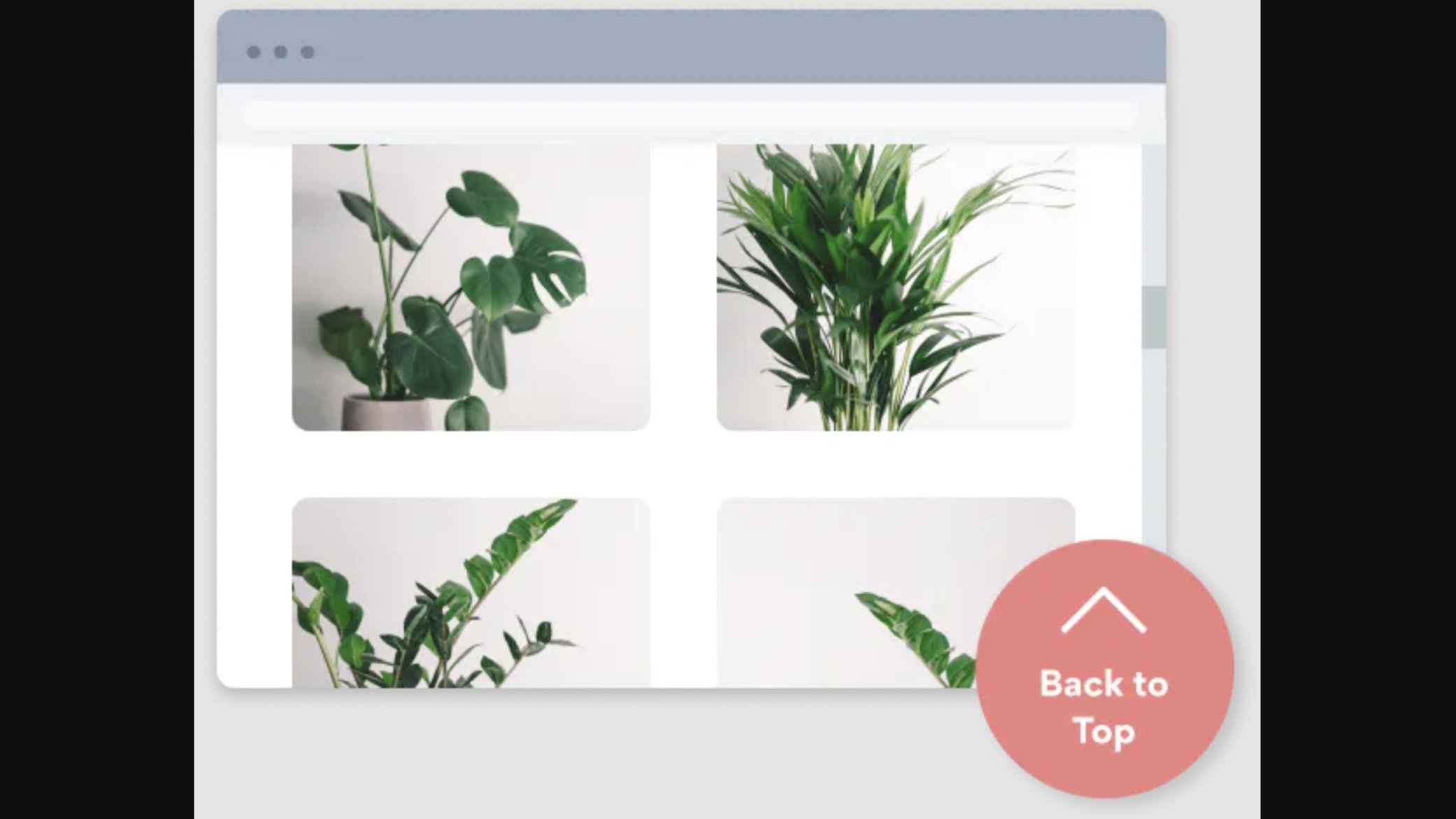 Powr-Squarespace-Plugin-Scroll To Top
