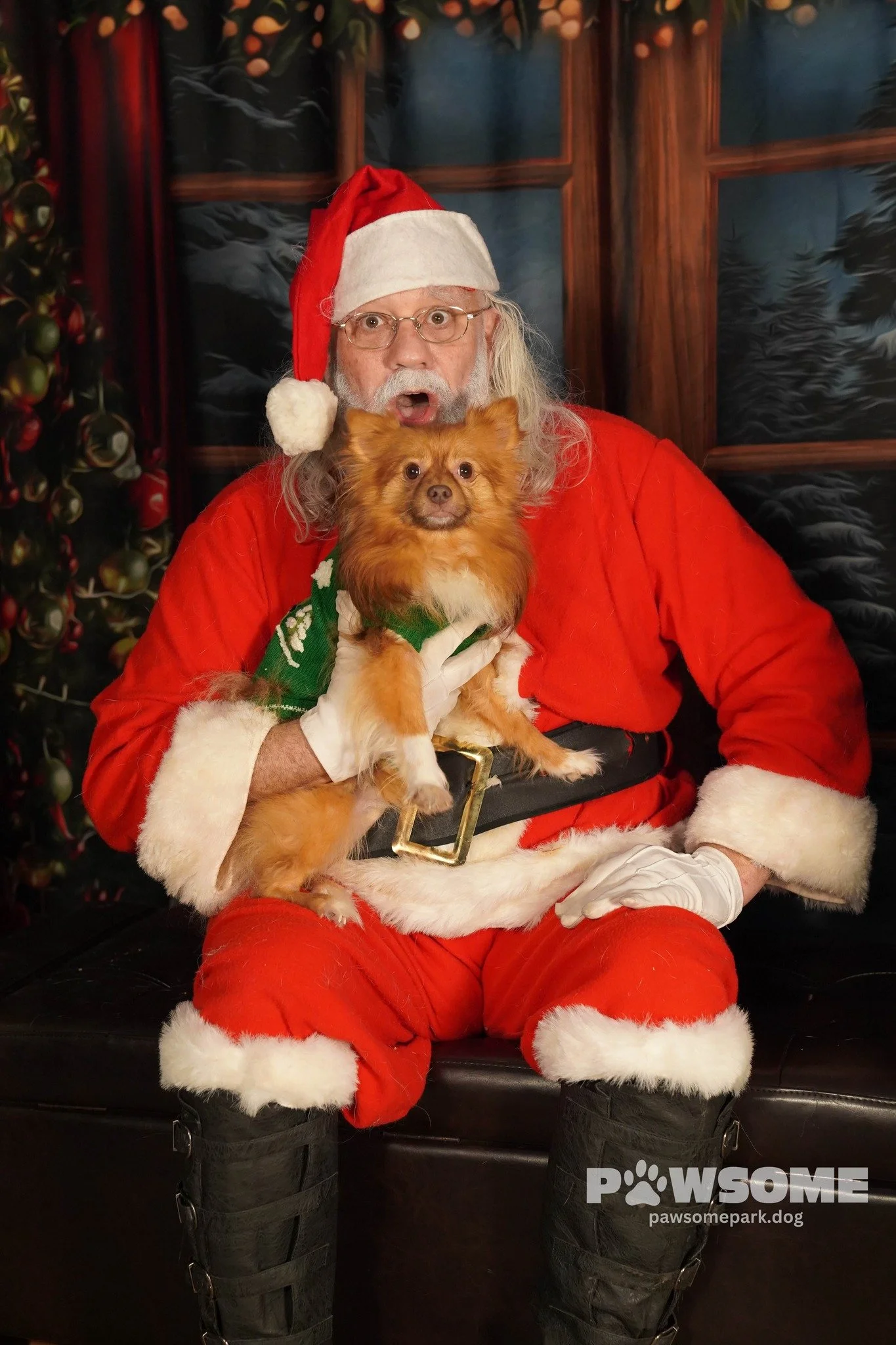 A person dressed as Santa Claus holding a small dog inside a decorated Christmas setting.
