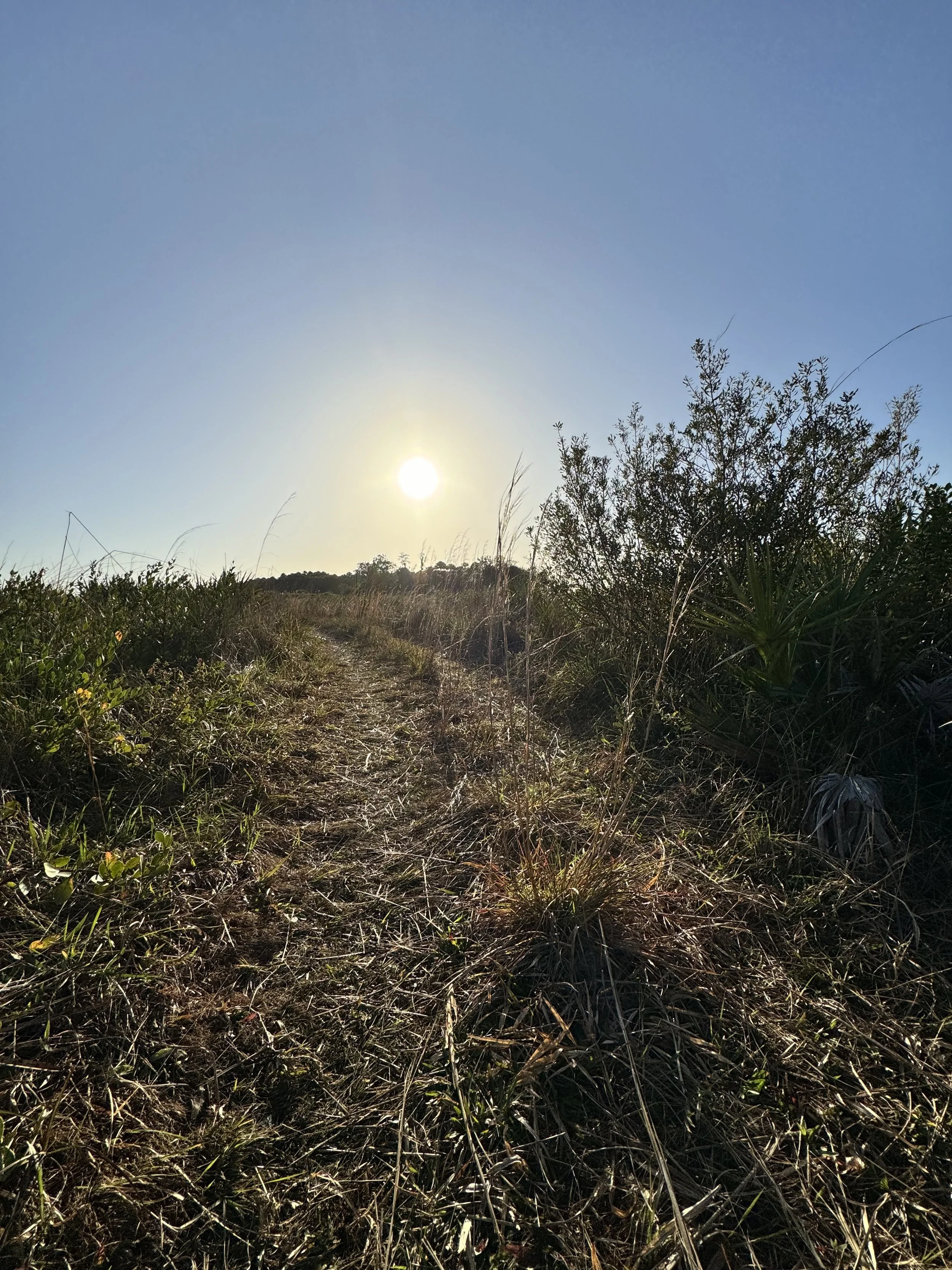 IMG_3032.jpeg