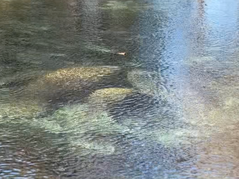 Chiefland Area Guide | Sarah’s Small Town Escapes