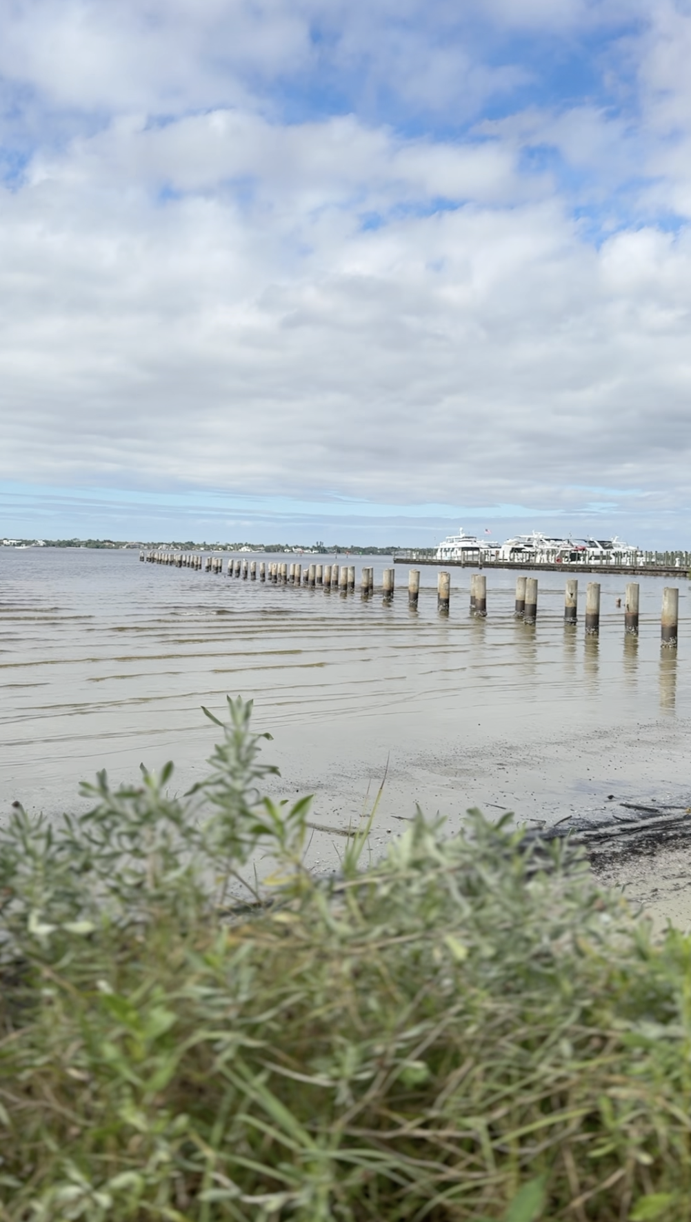 Screenshot 2025-12-16 at 10.54.44 AM.png