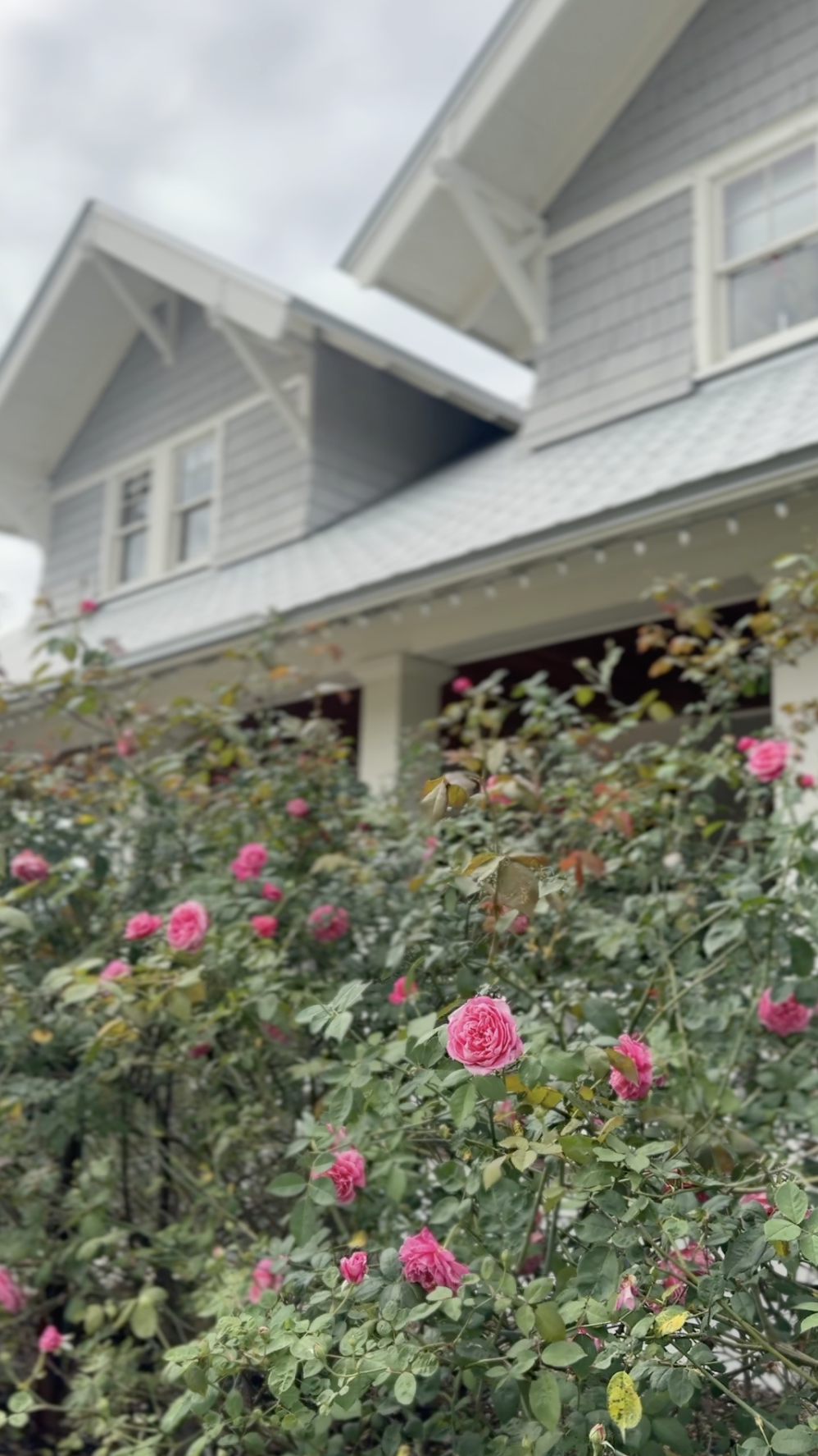 Screenshot 2025-12-16 at 10.55.21 AM.png