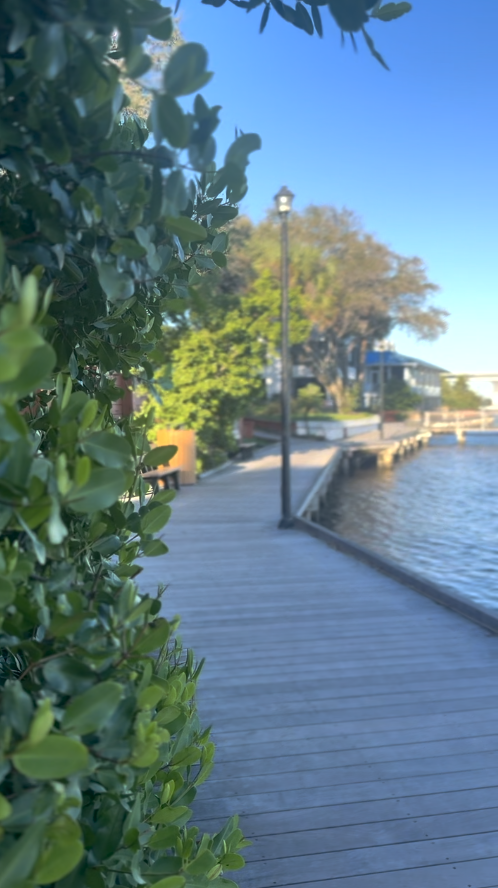 Screenshot 2025-12-29 at 6.30.53 AM.png