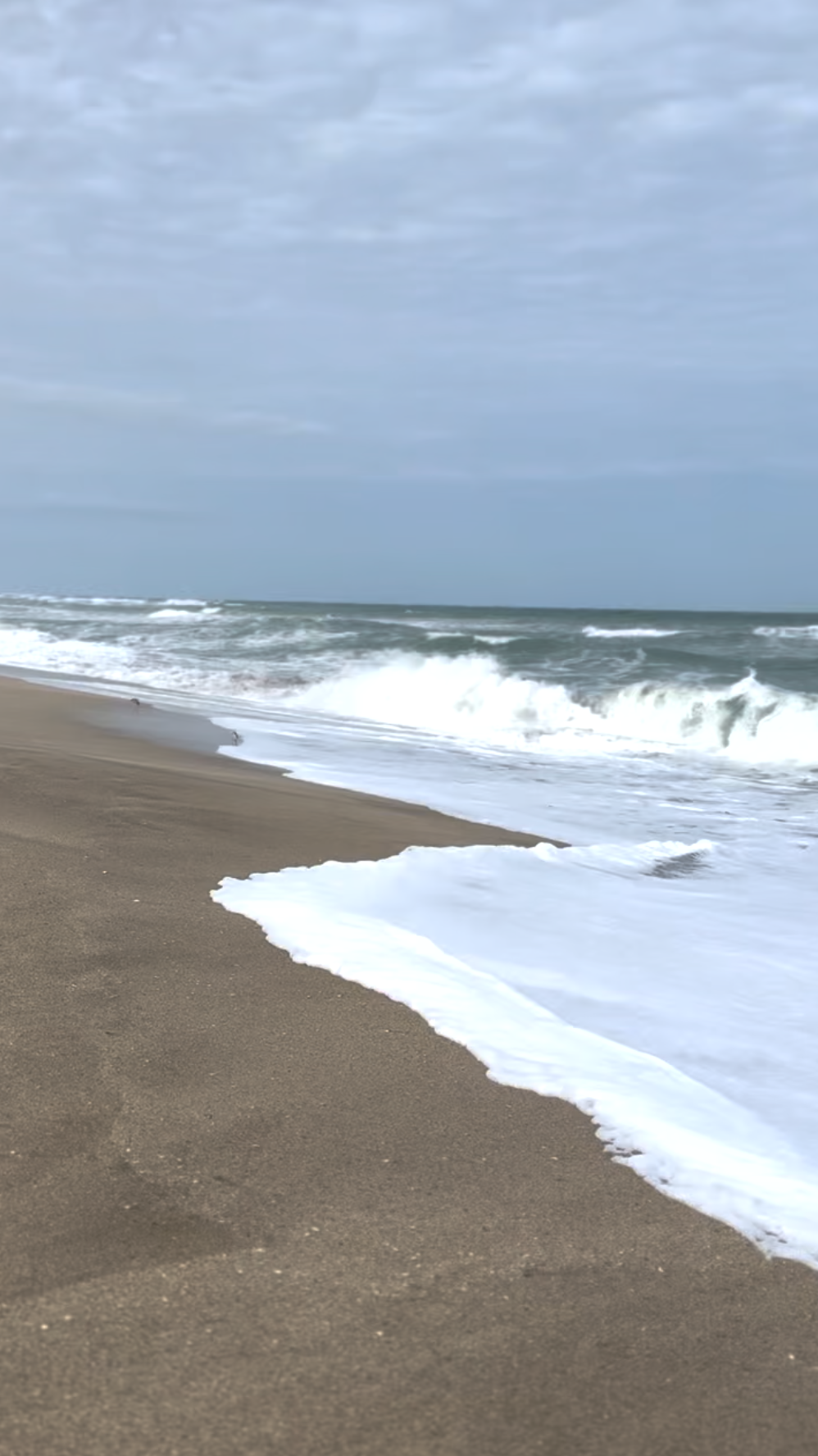 Screenshot 2025-12-29 at 6.34.31 AM.png