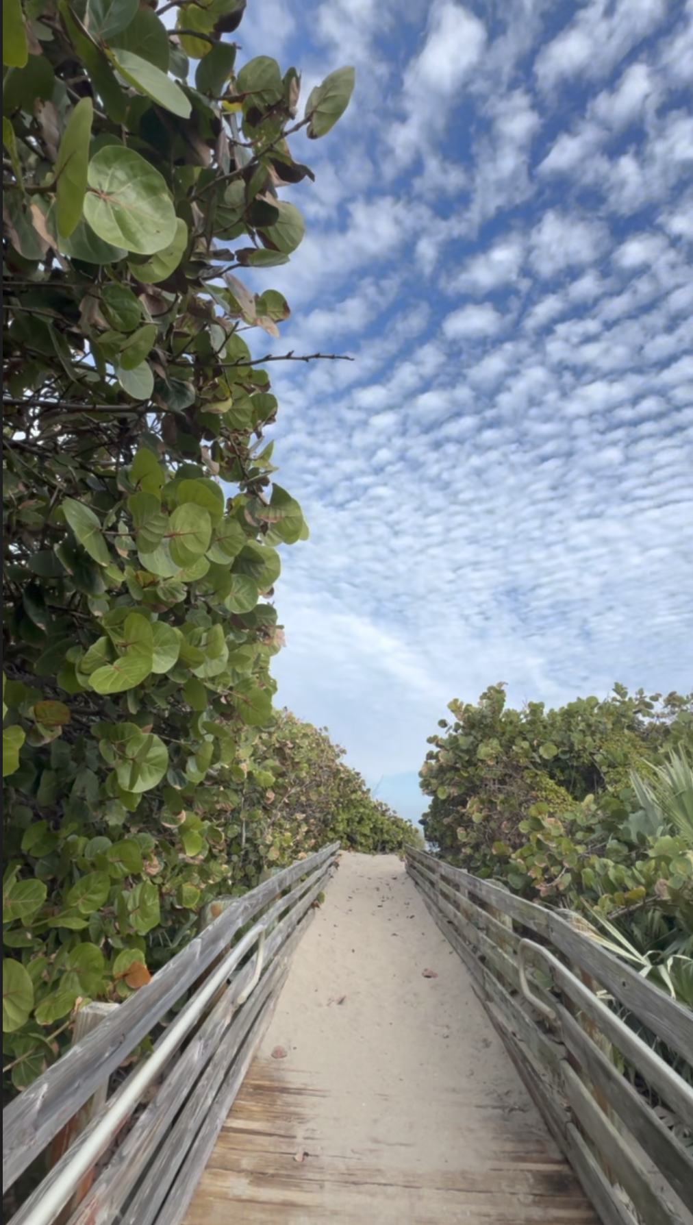 Screenshot 2025-12-29 at 6.34.43 AM.png