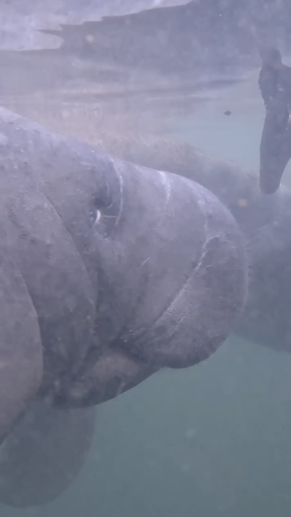 Screenshot 2026-01-04 at 3.11.59 PM.png