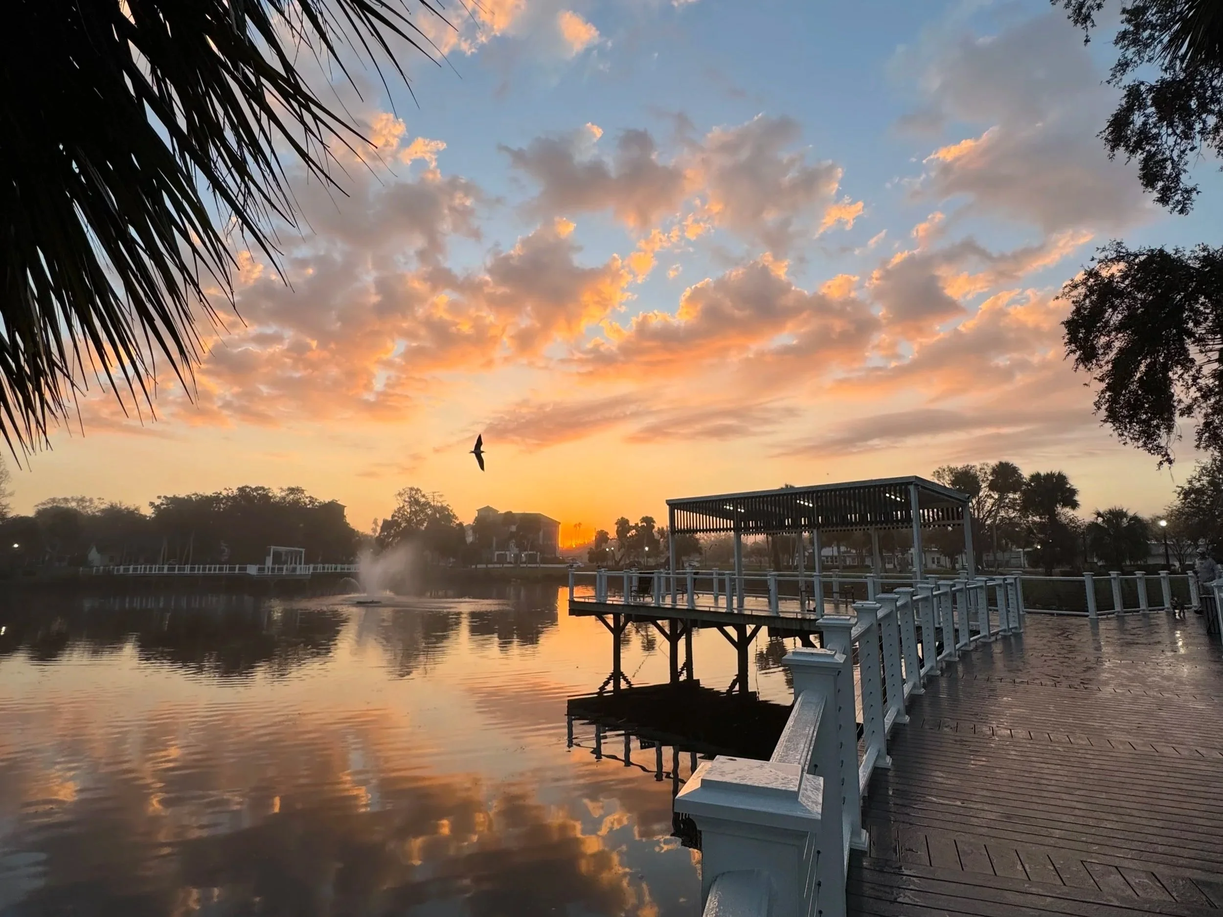 New Port Richey Guide | Pasco County