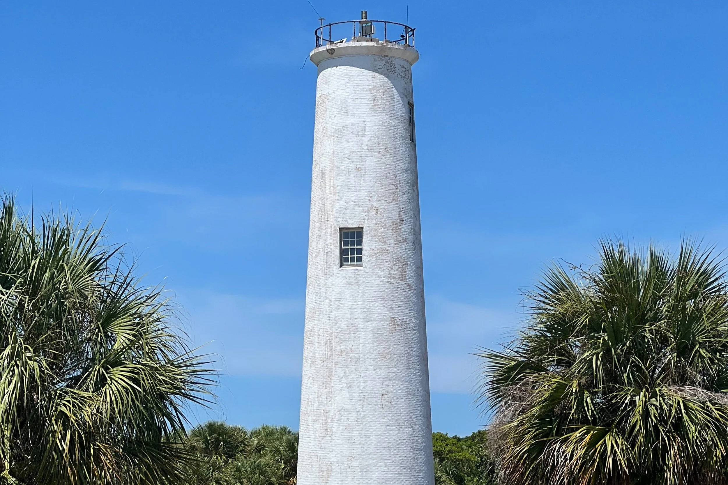5 Easy Day Trips from Tampa for Families This Summer