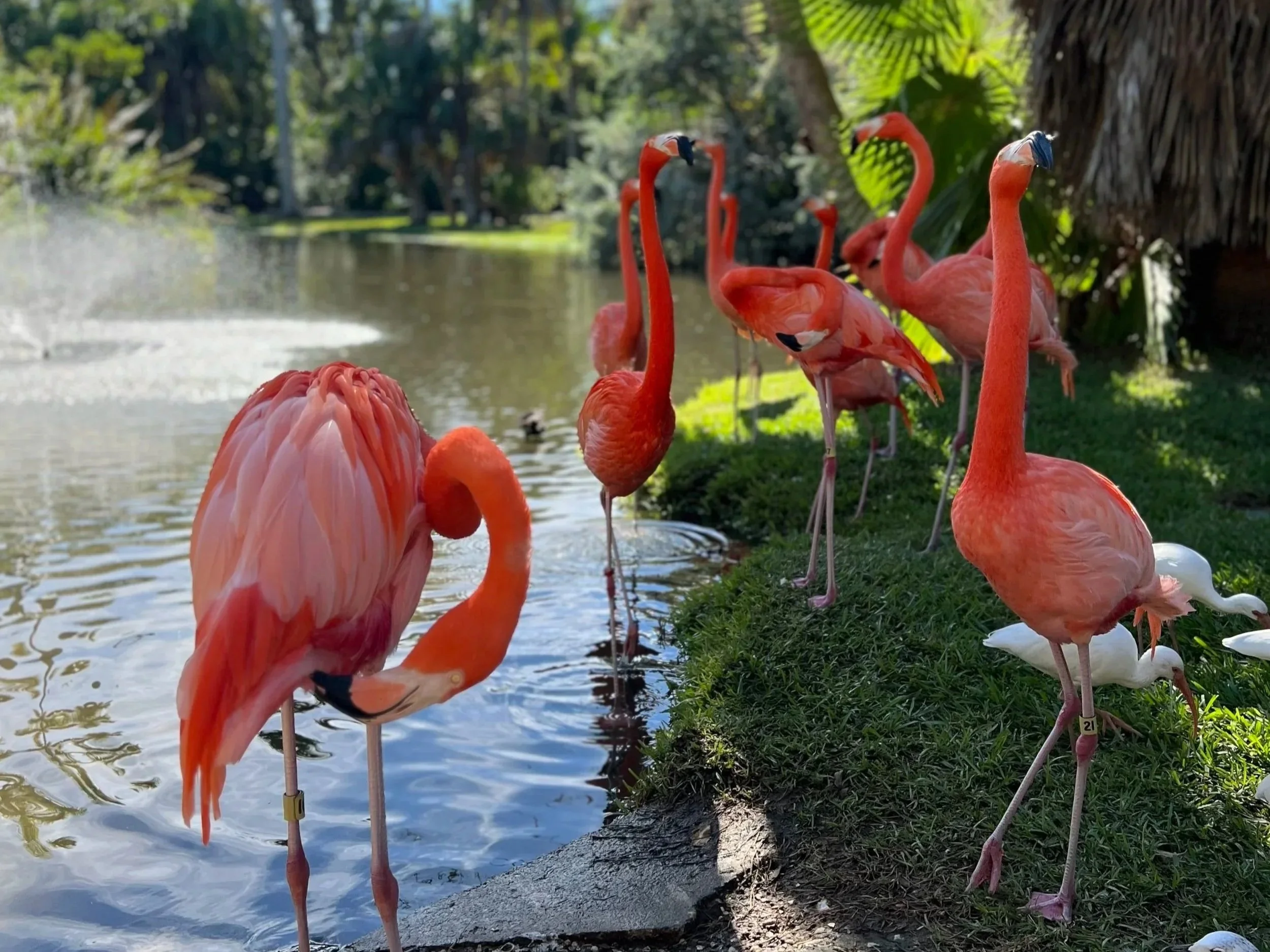 5 Iconic Florida Roadside Attractions to Visit This Spring