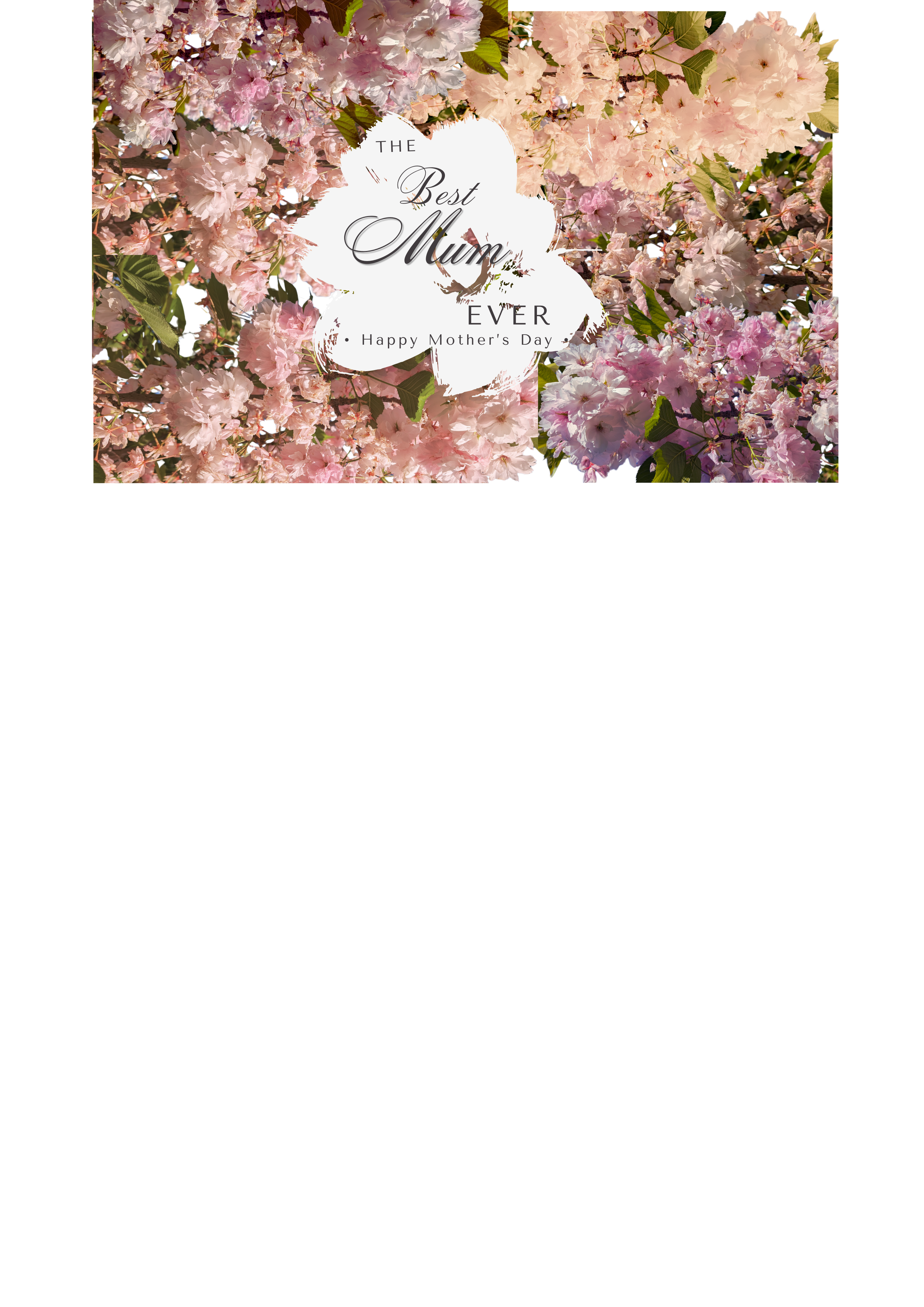 for the women we cherish. (8).png