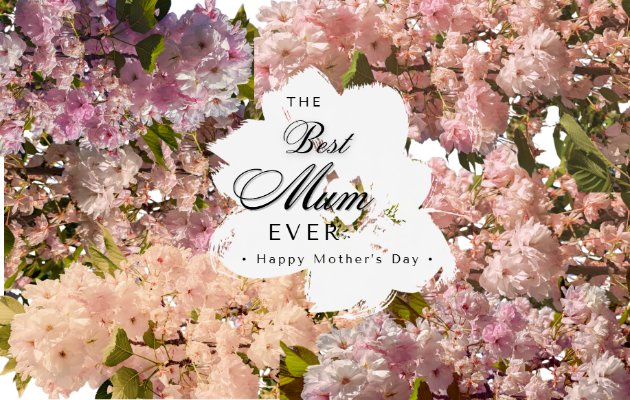 Mothers Day Card - Best Mum Ever
