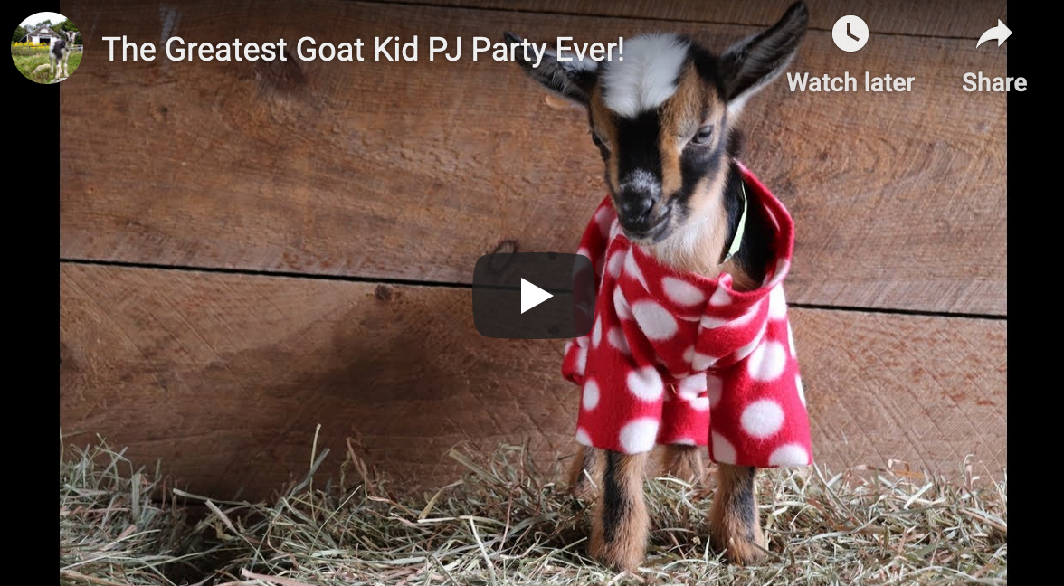 The Best PJ Party Ever!