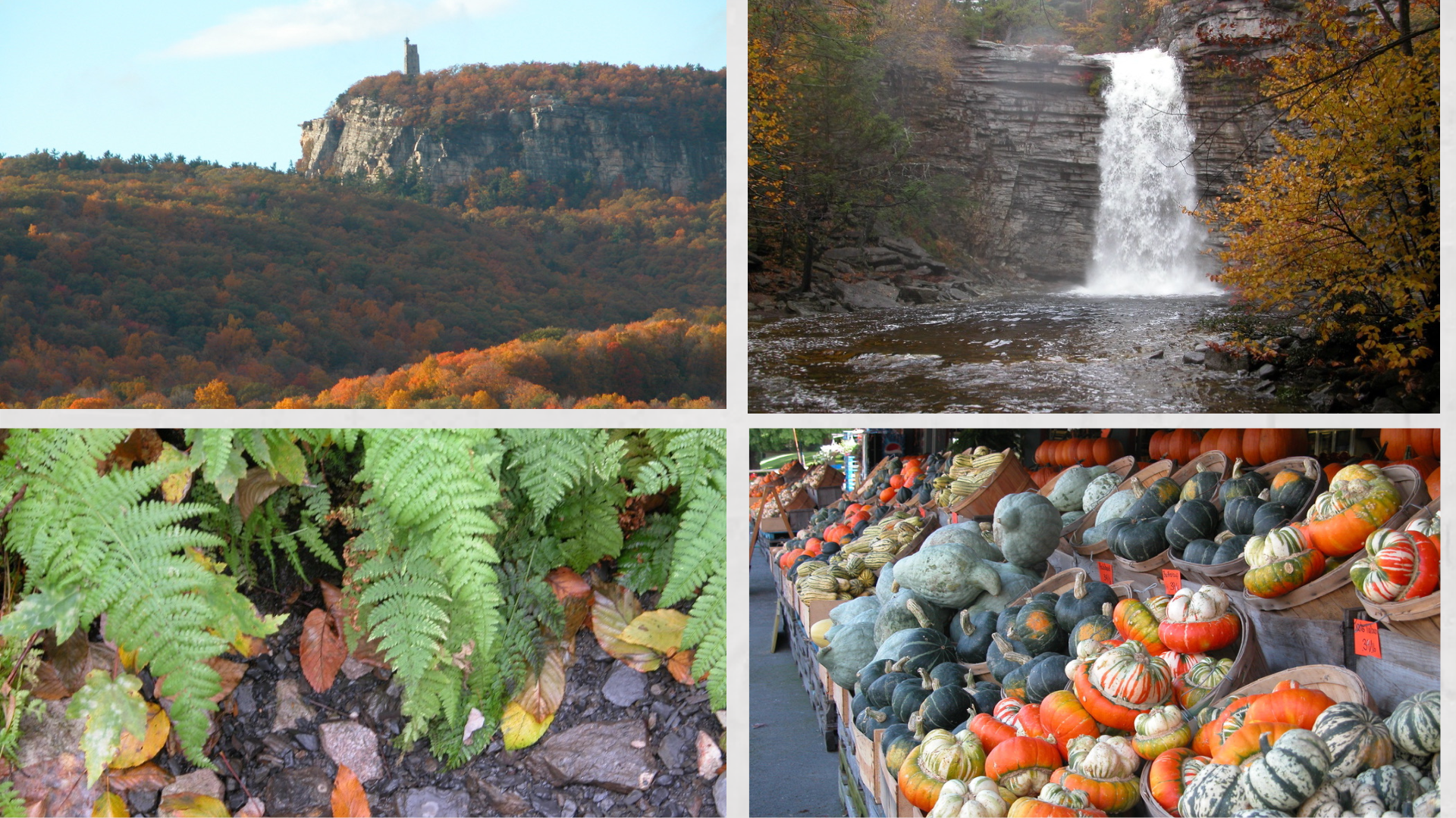 Autumn Writing Workshop