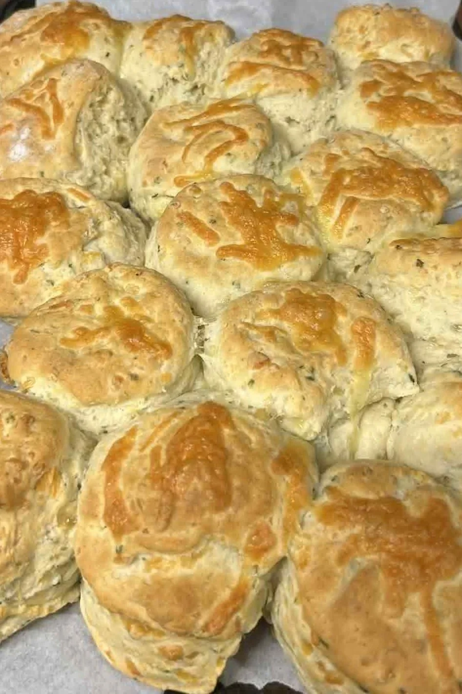 Savoury+scone+bulk.jpg