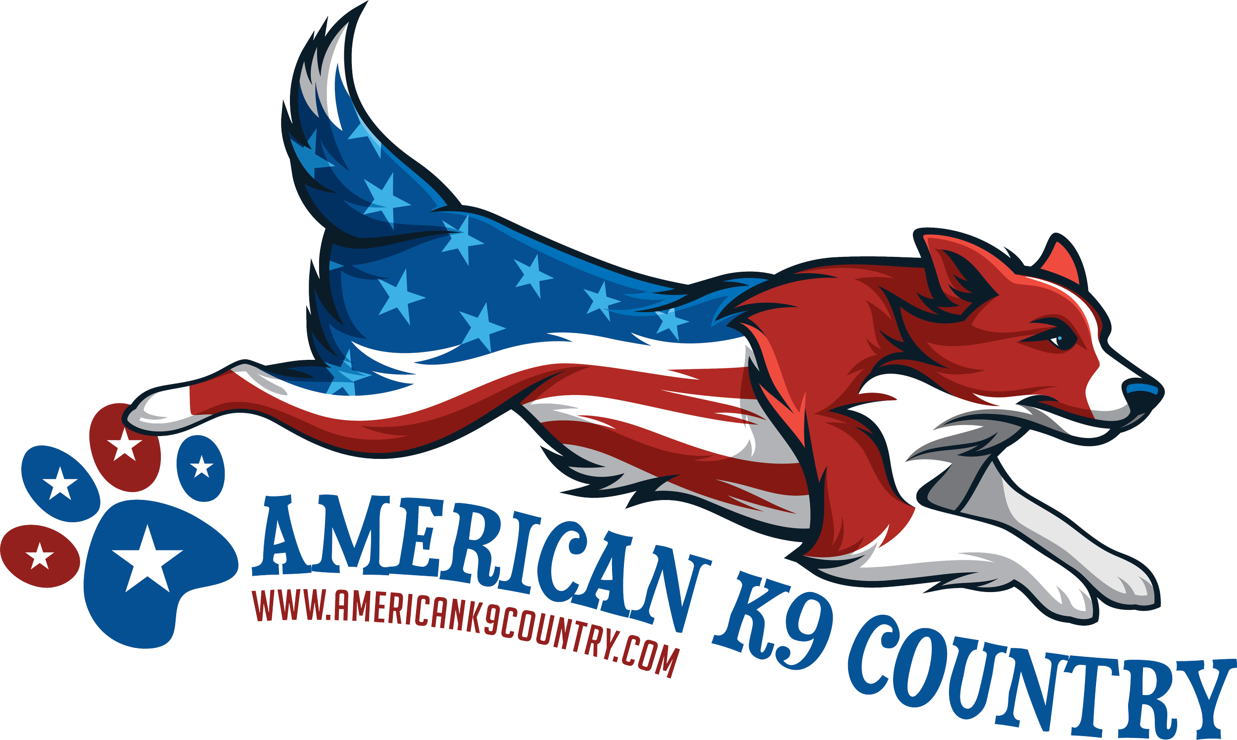 Camp Scholarships & Junior Discounts — Boundless Junior Agility Co.