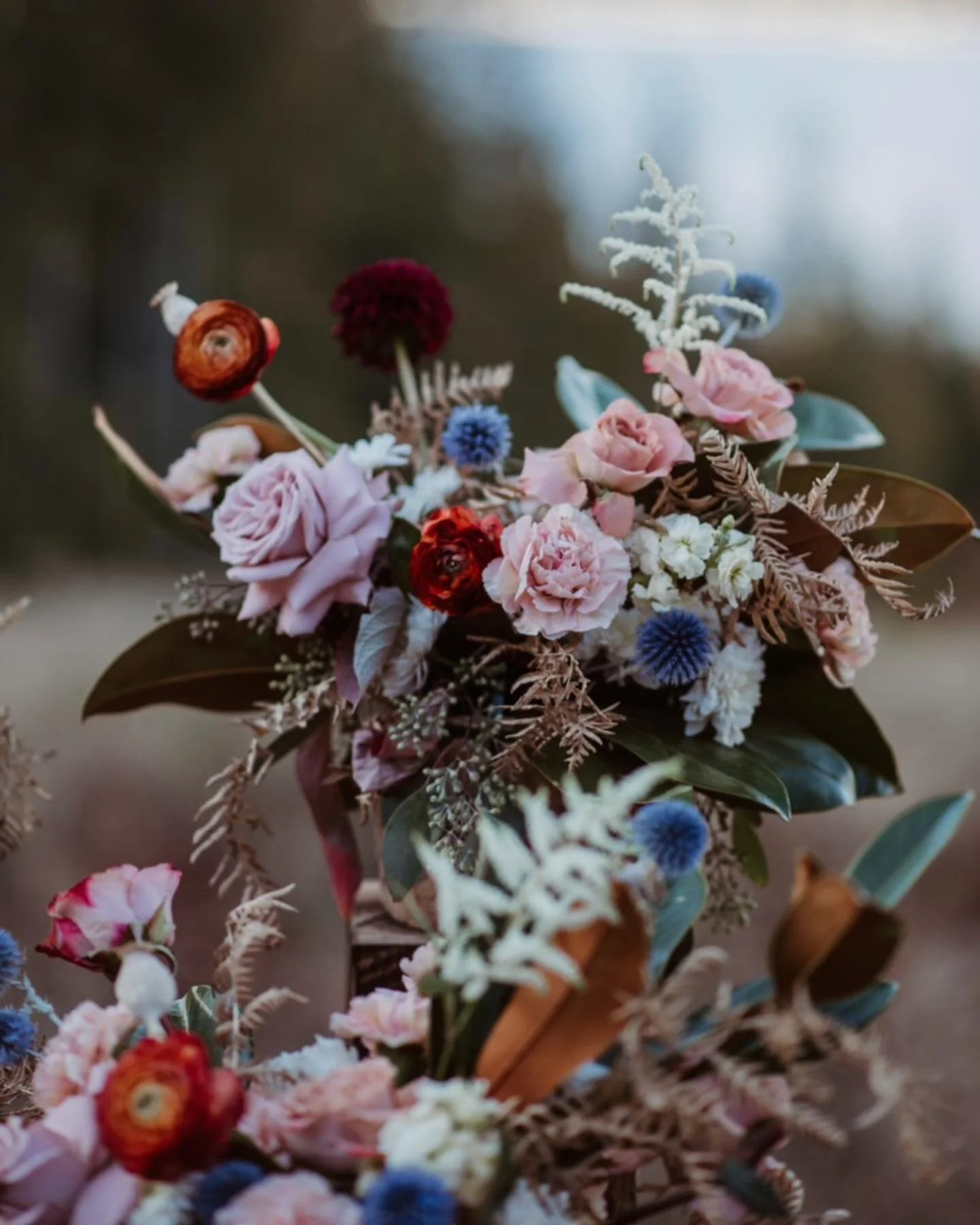Reminiscing from our last wedding of the year. A shot of the colour we used for these vibrant arrangements. 
Photography: @vanmorris_photography