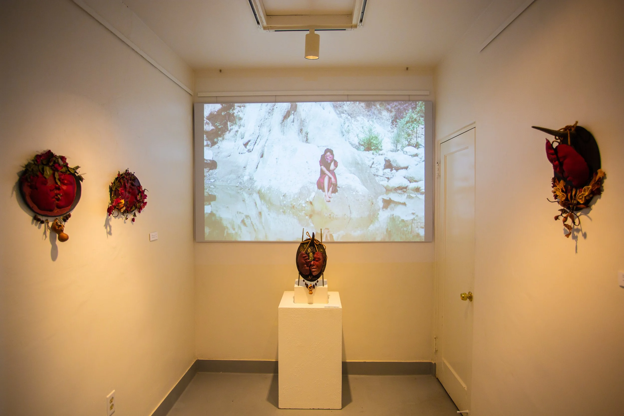 Installation shot of "Artifacts From A Butterfly's Meconium" solo show at CAM Studio Gallery.
Photo Taken by @planetmoore.
