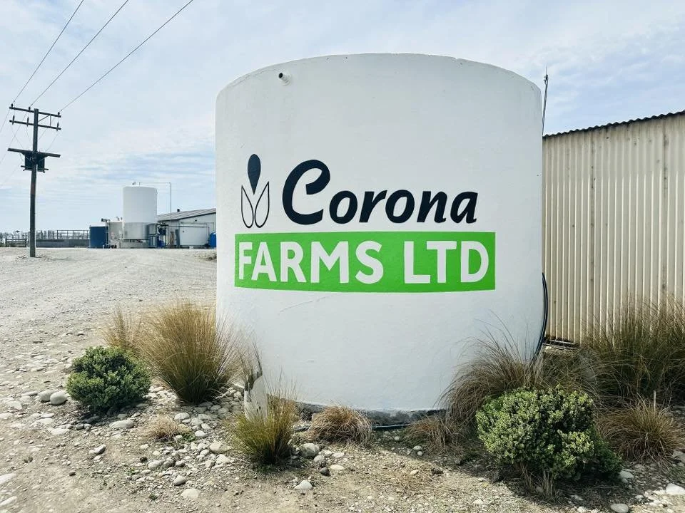 Corona Farms Tank 2026