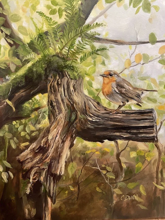 Robins Here, Robins There