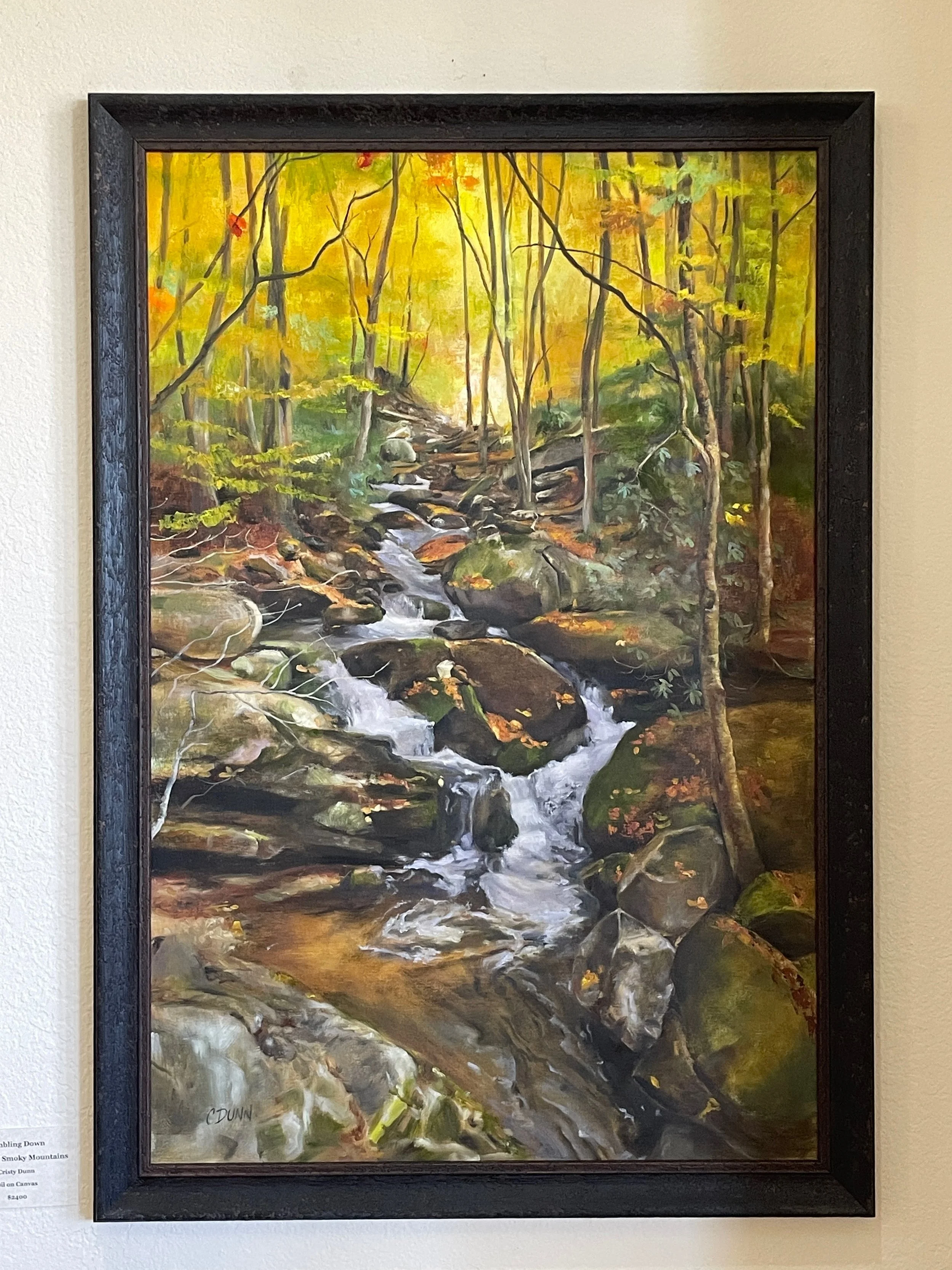 Tumbling Down The Great Smoky Mountains