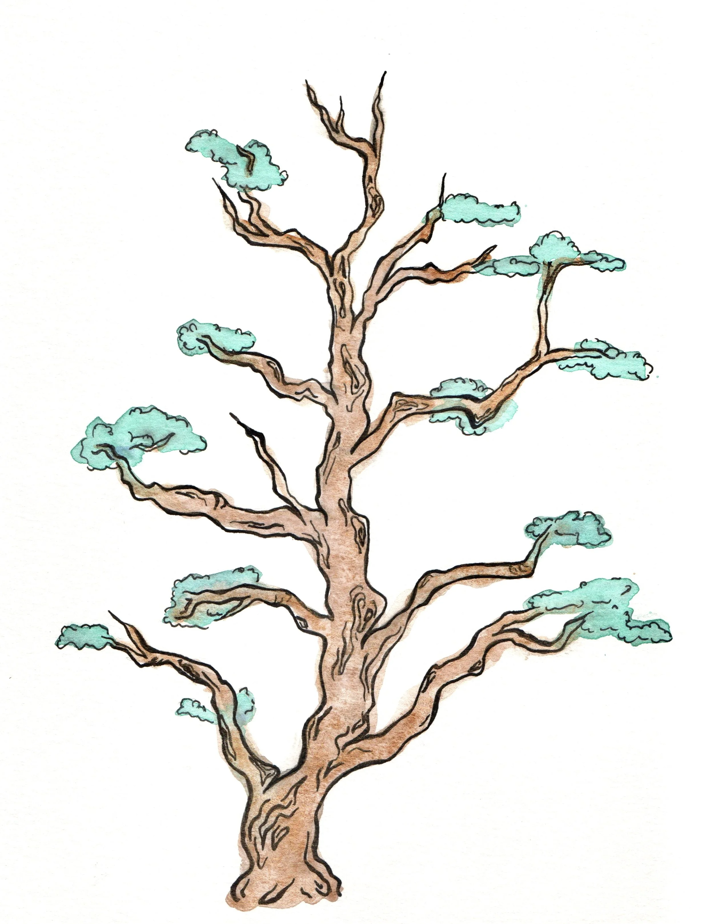 Safe Arbor.jpg