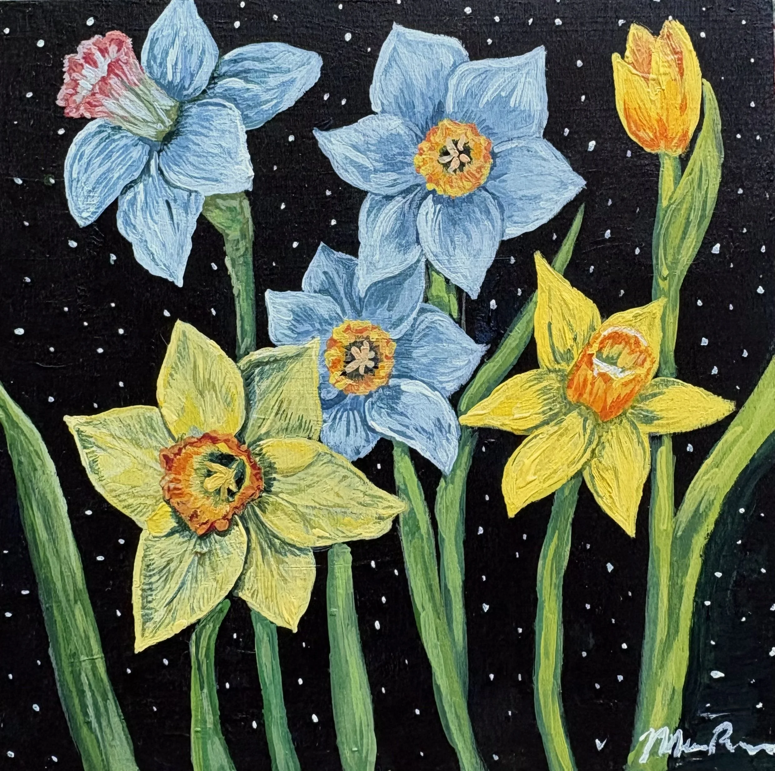 Daffodils