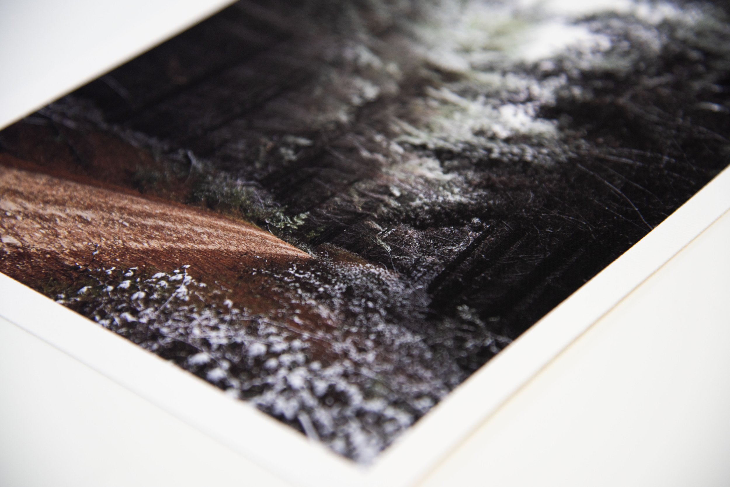 Hahnemuhle Canvas1.jpg