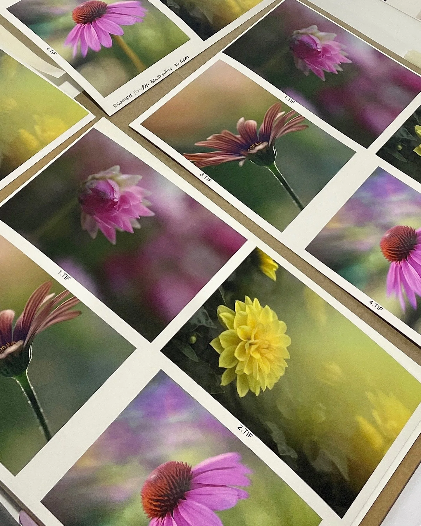 We had a lot of fun recently hosting another Print Ready Workshop with a great group of photographers. The workshop explored test prints on a variety of different Canson, Hahnemuhle, Ilford papers, how to get your files ready, callibration &amp; proo