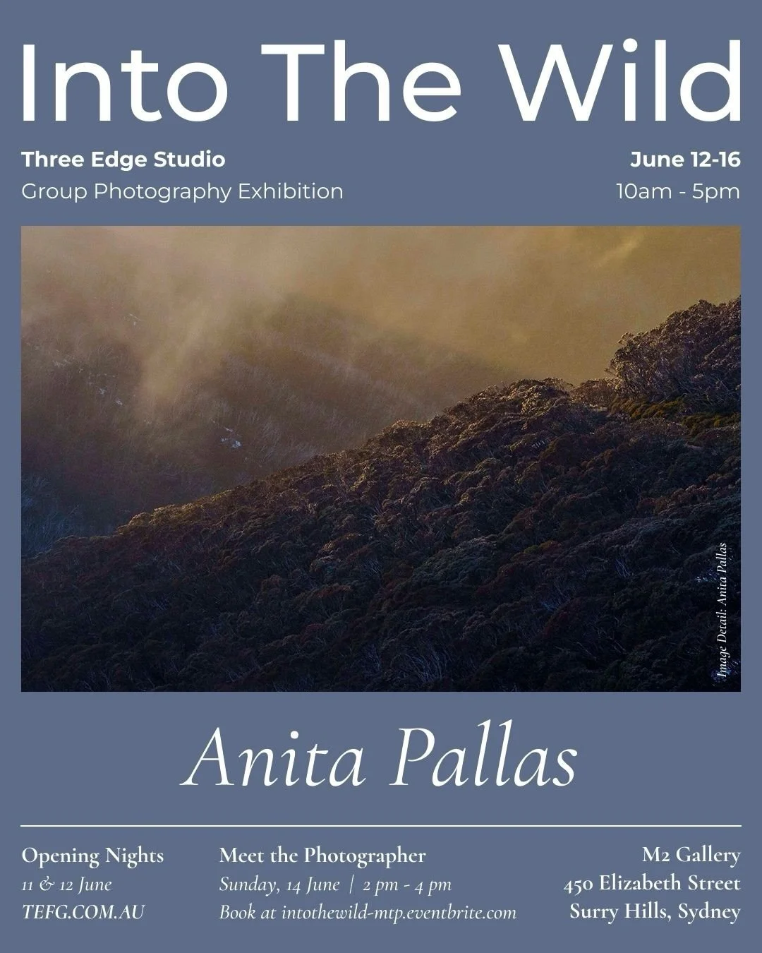 We welcome you to Into The Wild at the M2 Gallery in Sydney. Three Edge Studio Group Photography Exhibition presents an outstanding collection of 54 curated photography works by 30 photographers from Australia and New Zealand.

We are very proud to p