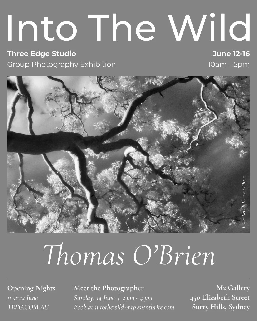 We welcome you to Into The Wild at the M2 Gallery in Sydney. Three Edge Studio Group Photography Exhibition presents an outstanding collection of 54 curated photography works by 30 photographers from Australia and New Zealand.

We are very proud to p