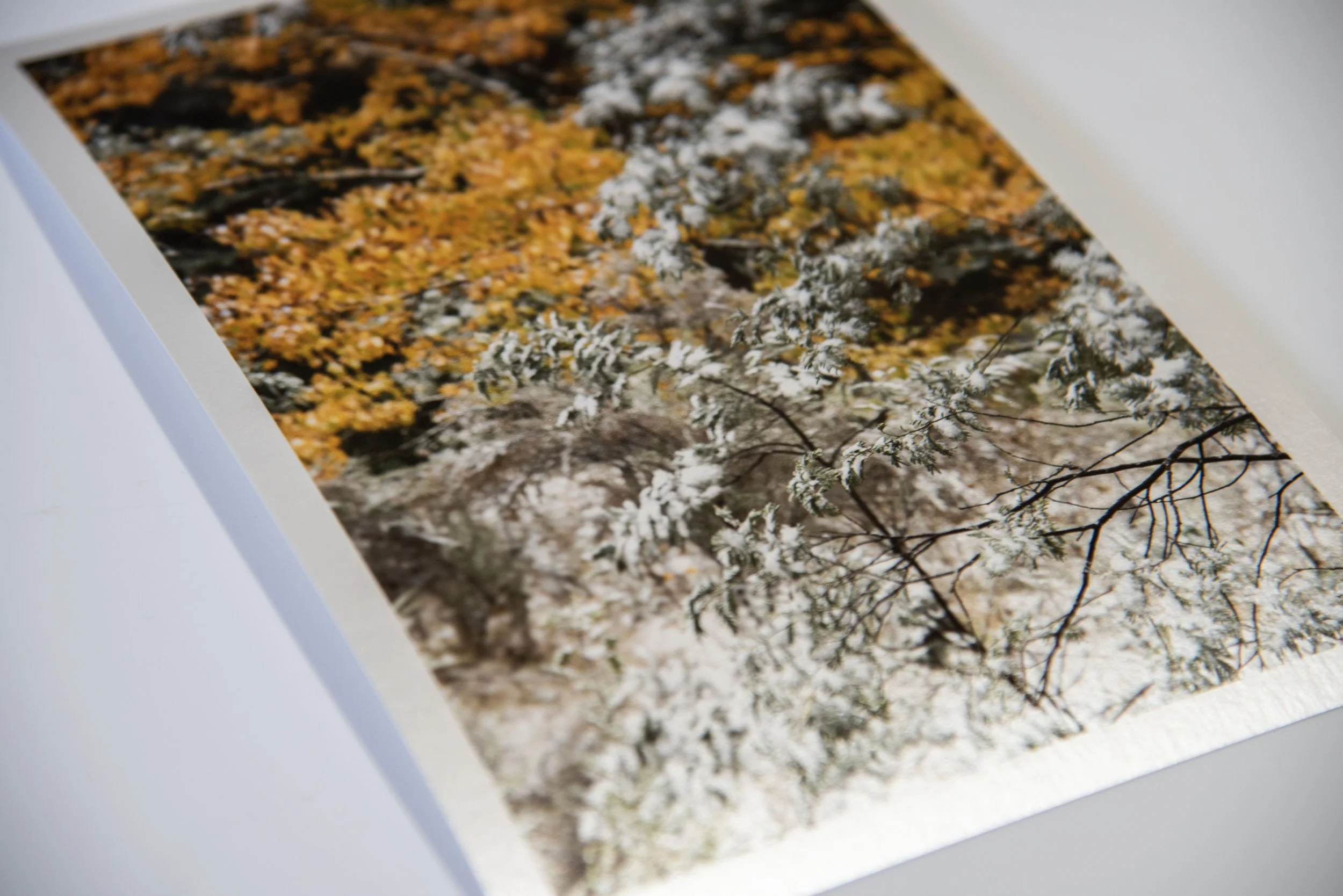 Hahnemuhle Photo Rag Metallic 340gsm
