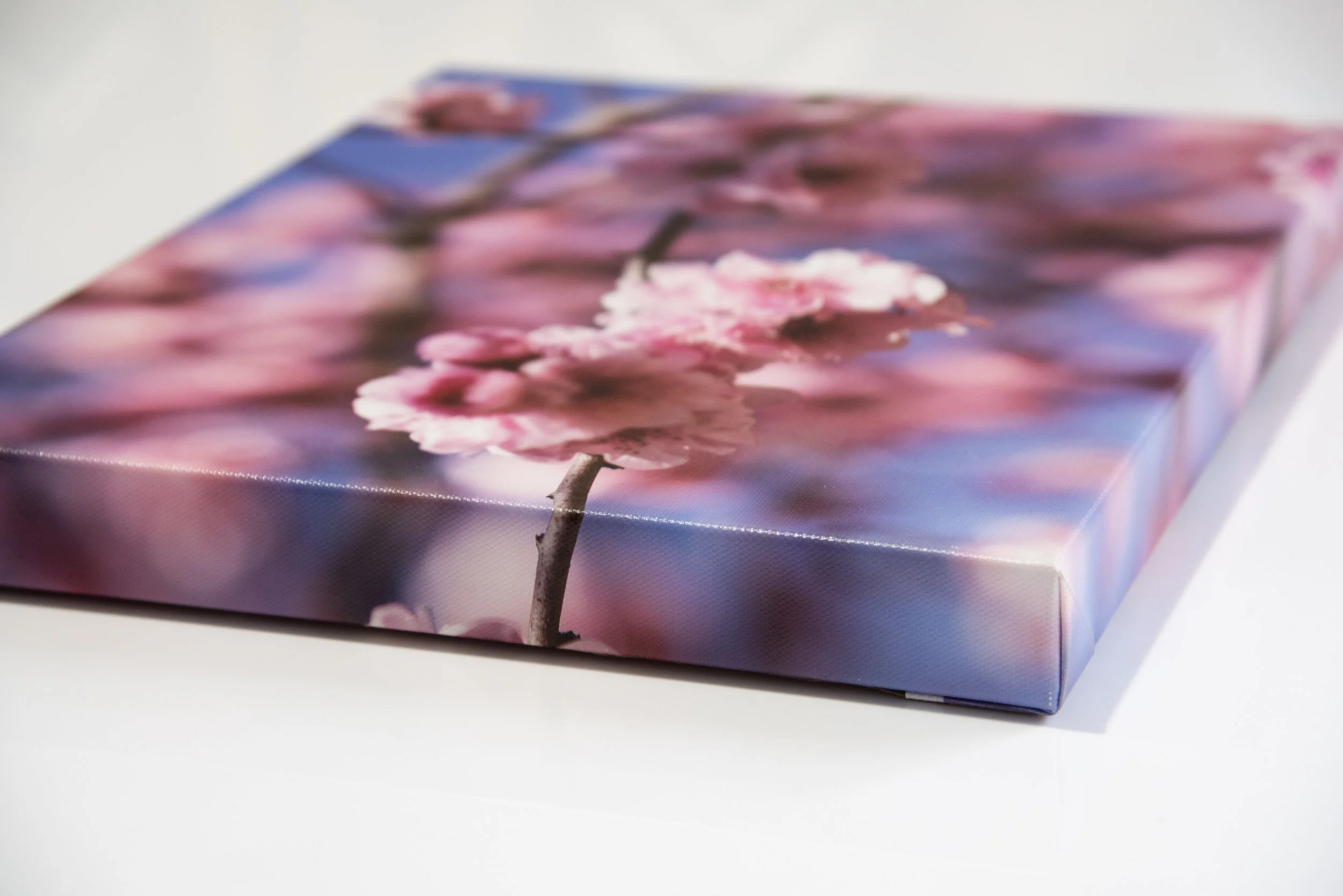 Canvas Print and Stretch Package