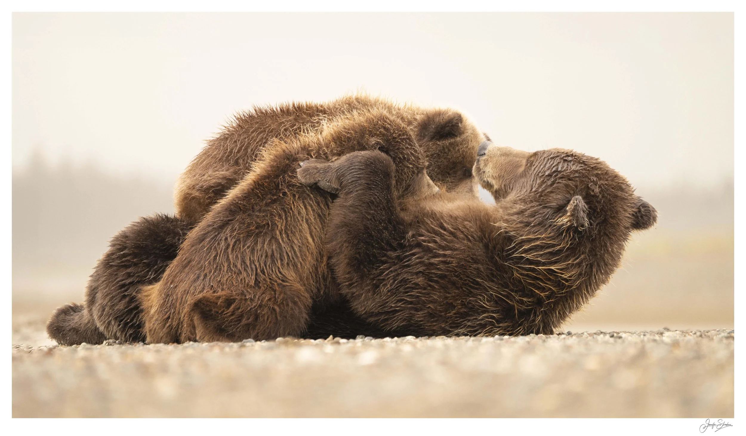 Jenny Sheehan - A Bear named Crimp, $650