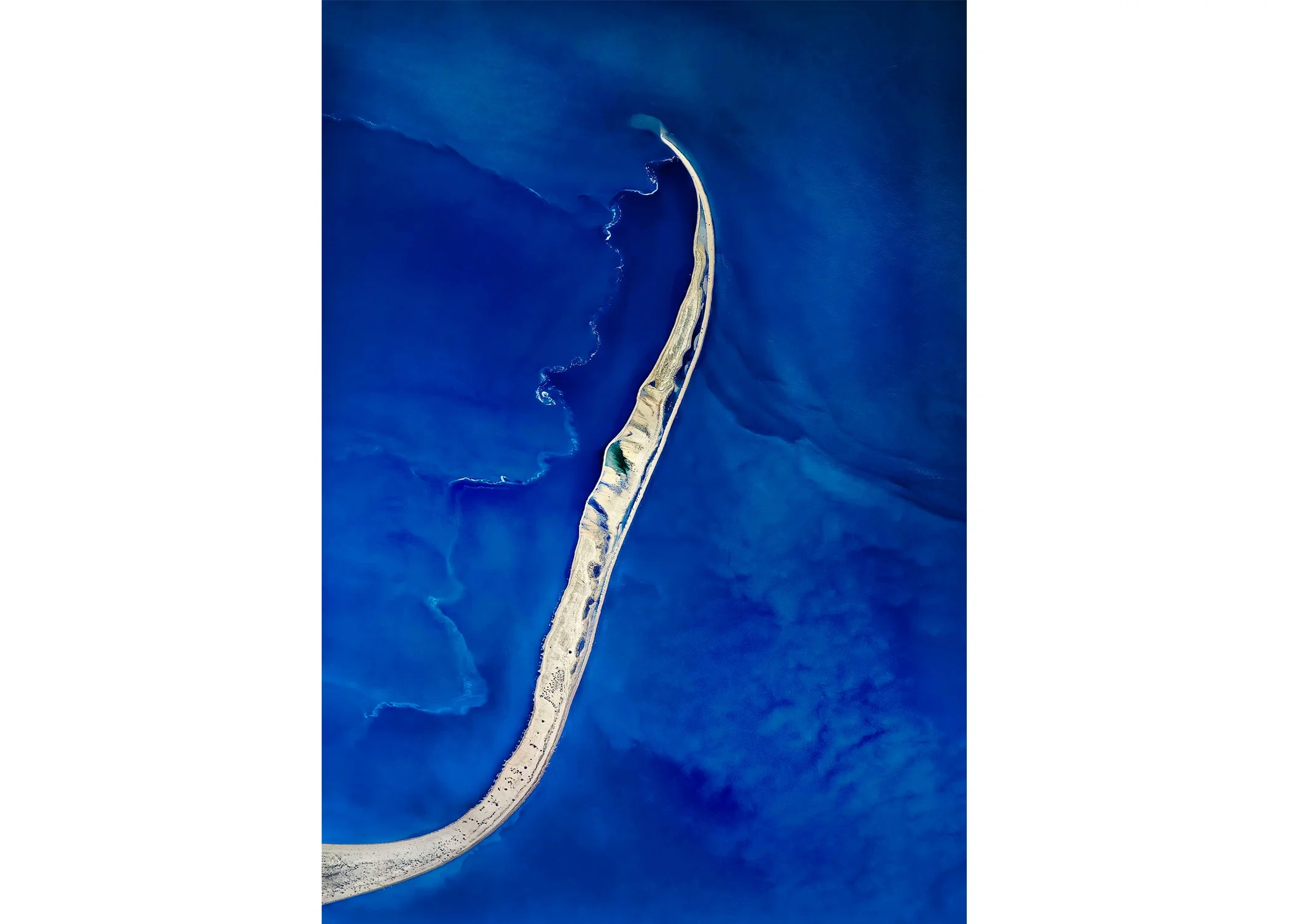 Nilmini De Silva - Kangaroo Tail, $950