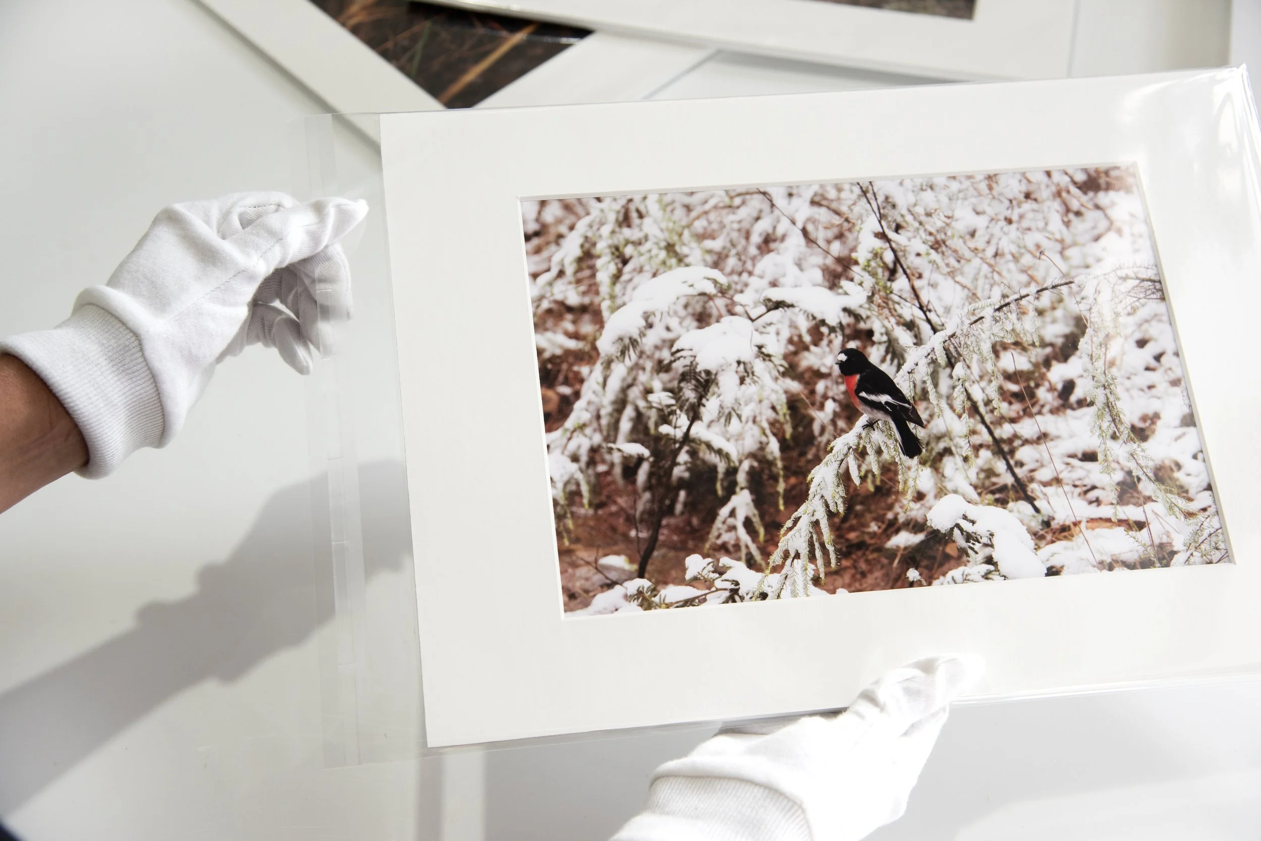 Ready to Frame Prints