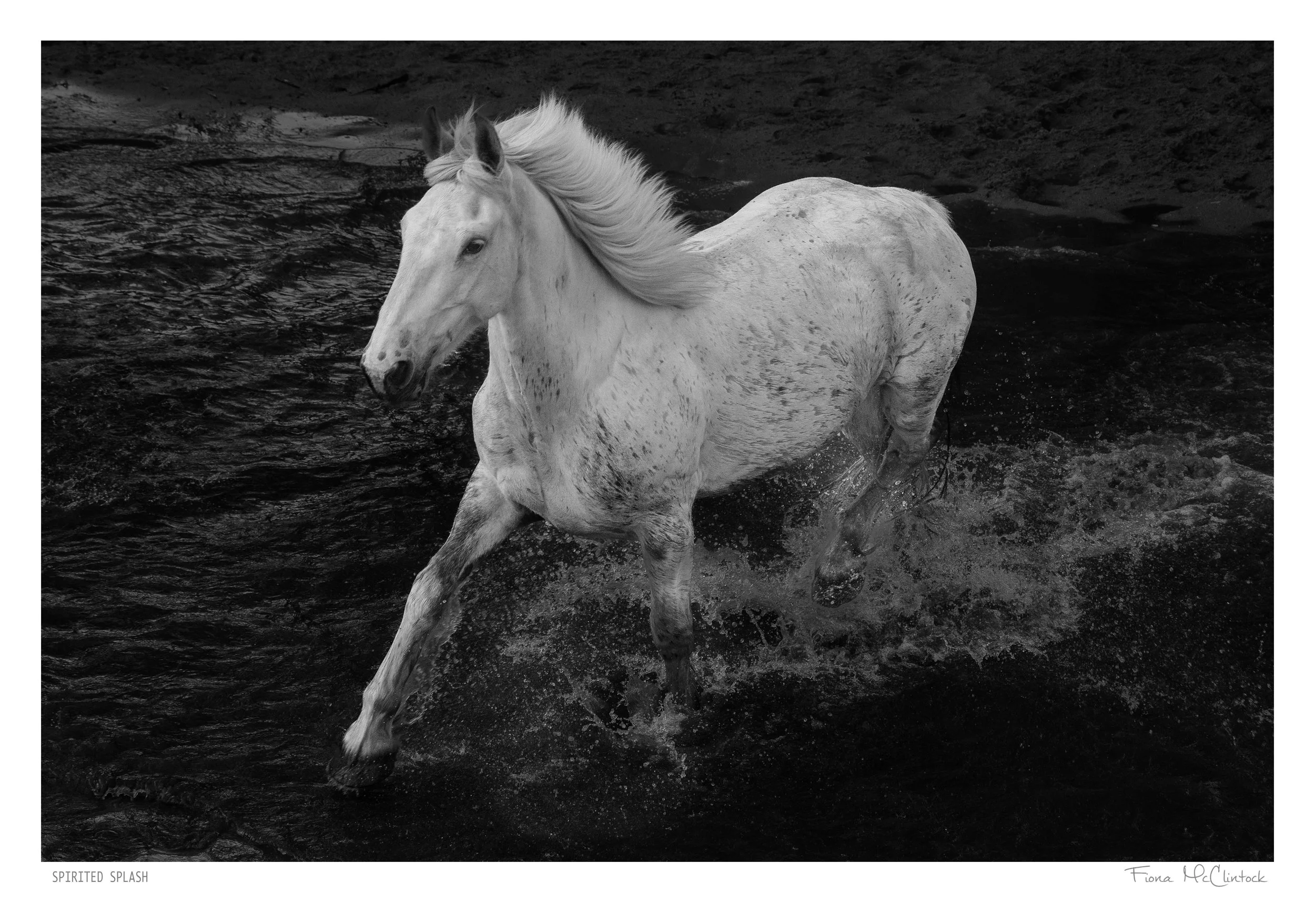 Fiona McClintock - Spirited Splash, $900