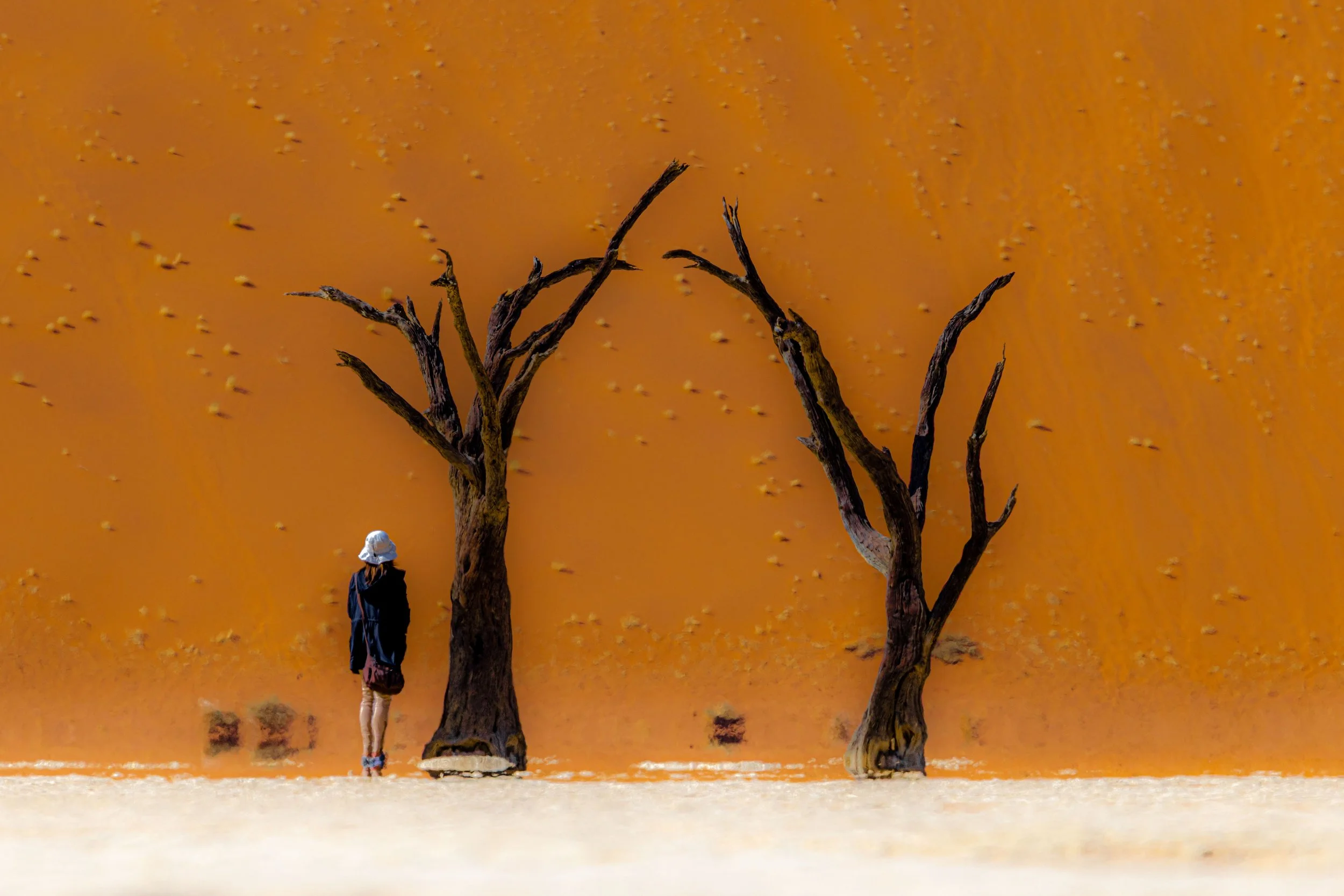 Jodi Gray - Melting Sand Dunes I, $650