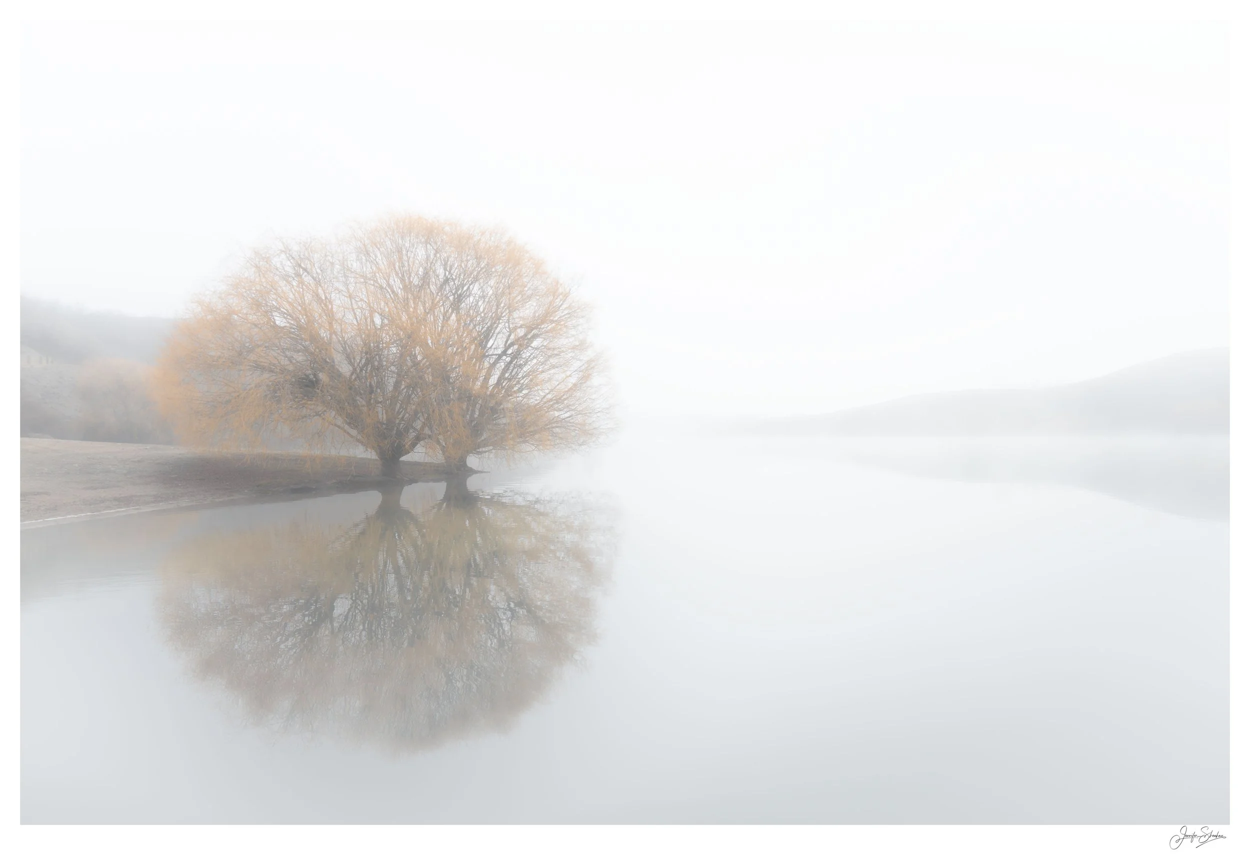 Jenny Sheehan - Lone Tree, $650