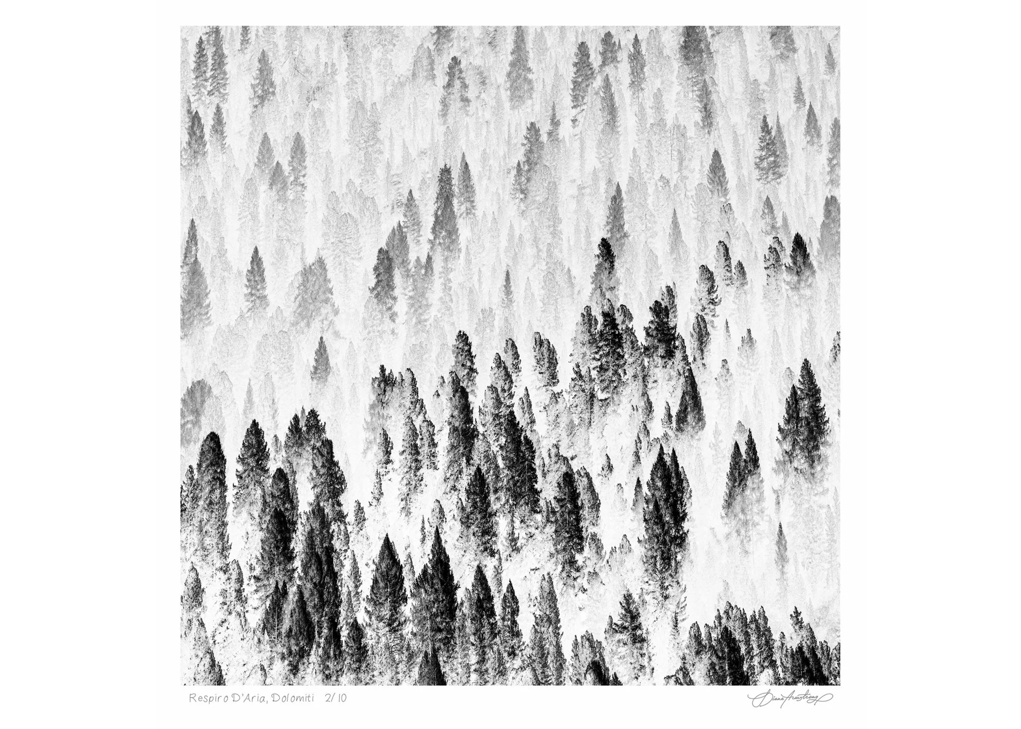 Diane Armstrong - Respiro D”aria, Dolomiti, $750