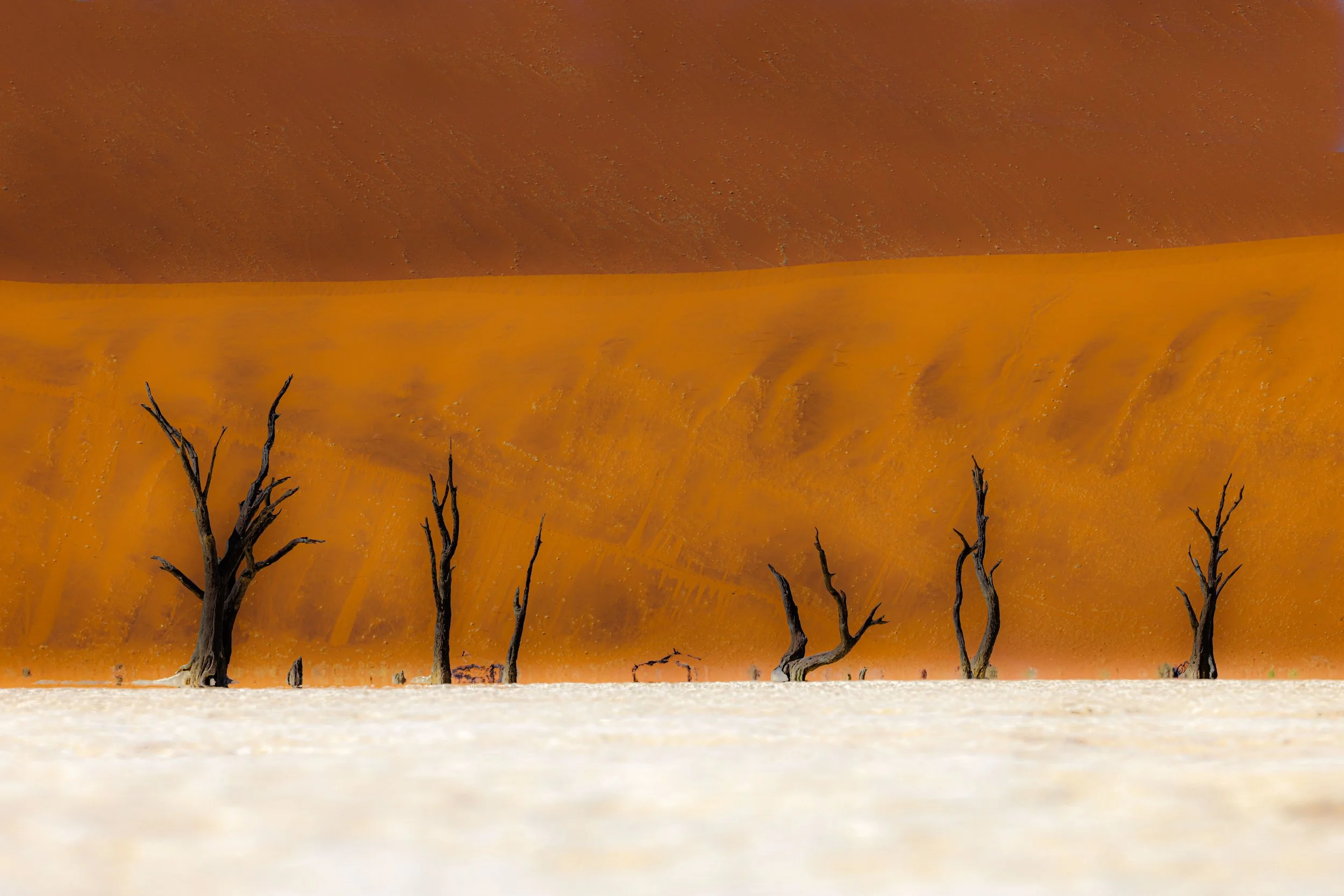 Jodi Gray - Melting Sand Dunes II, $650