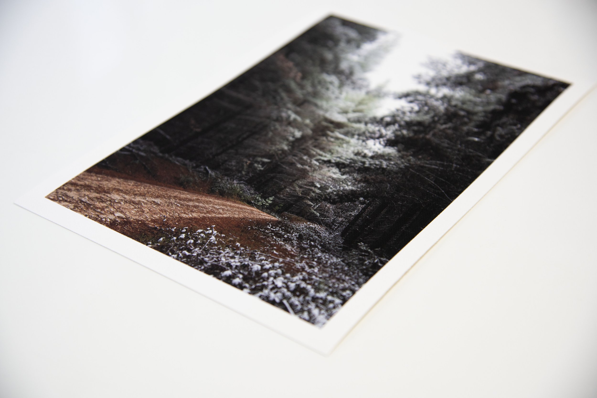 Hahnemuhle Canvas5.jpg